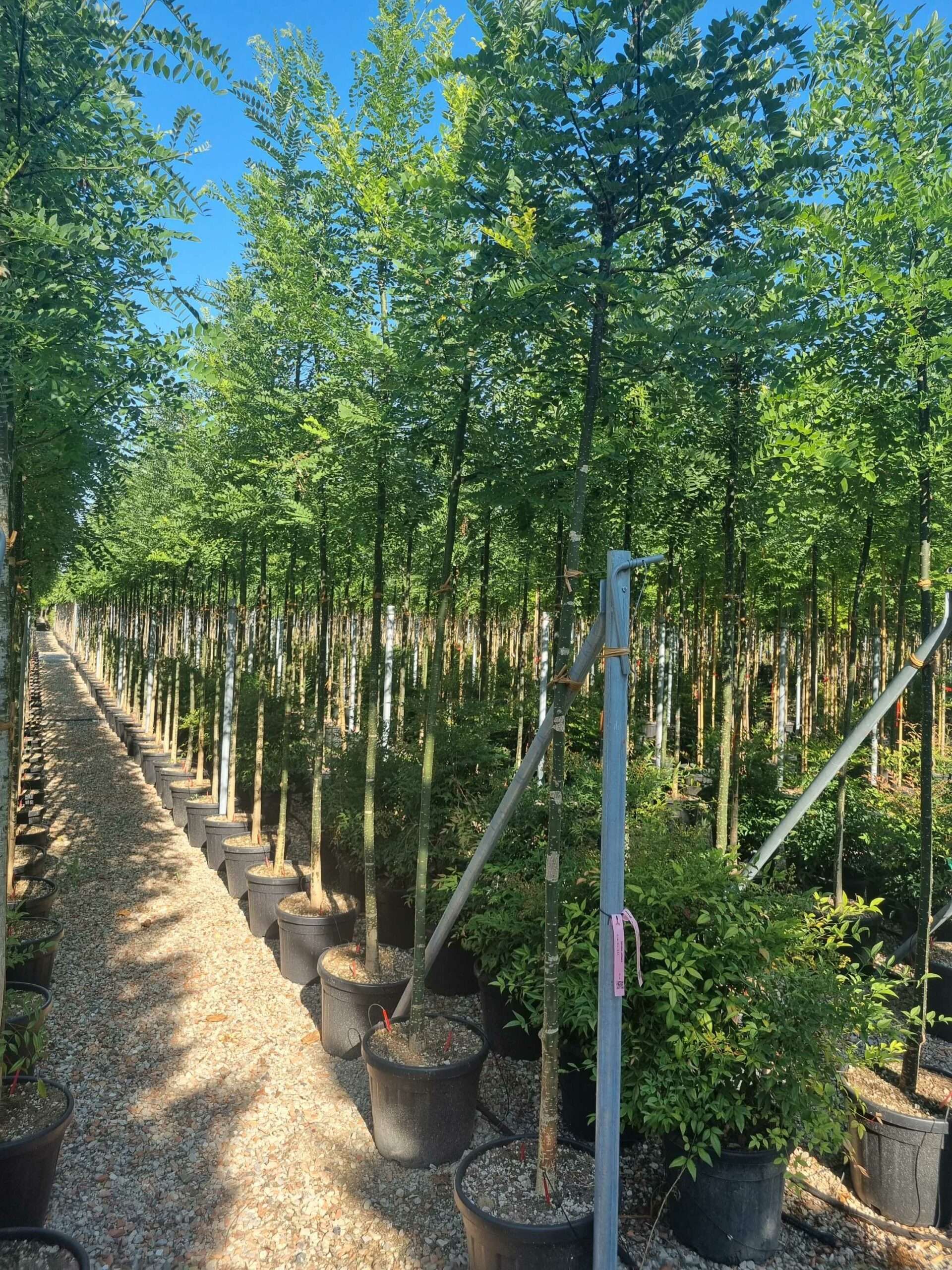 1692689172 scaled 9afb43d0