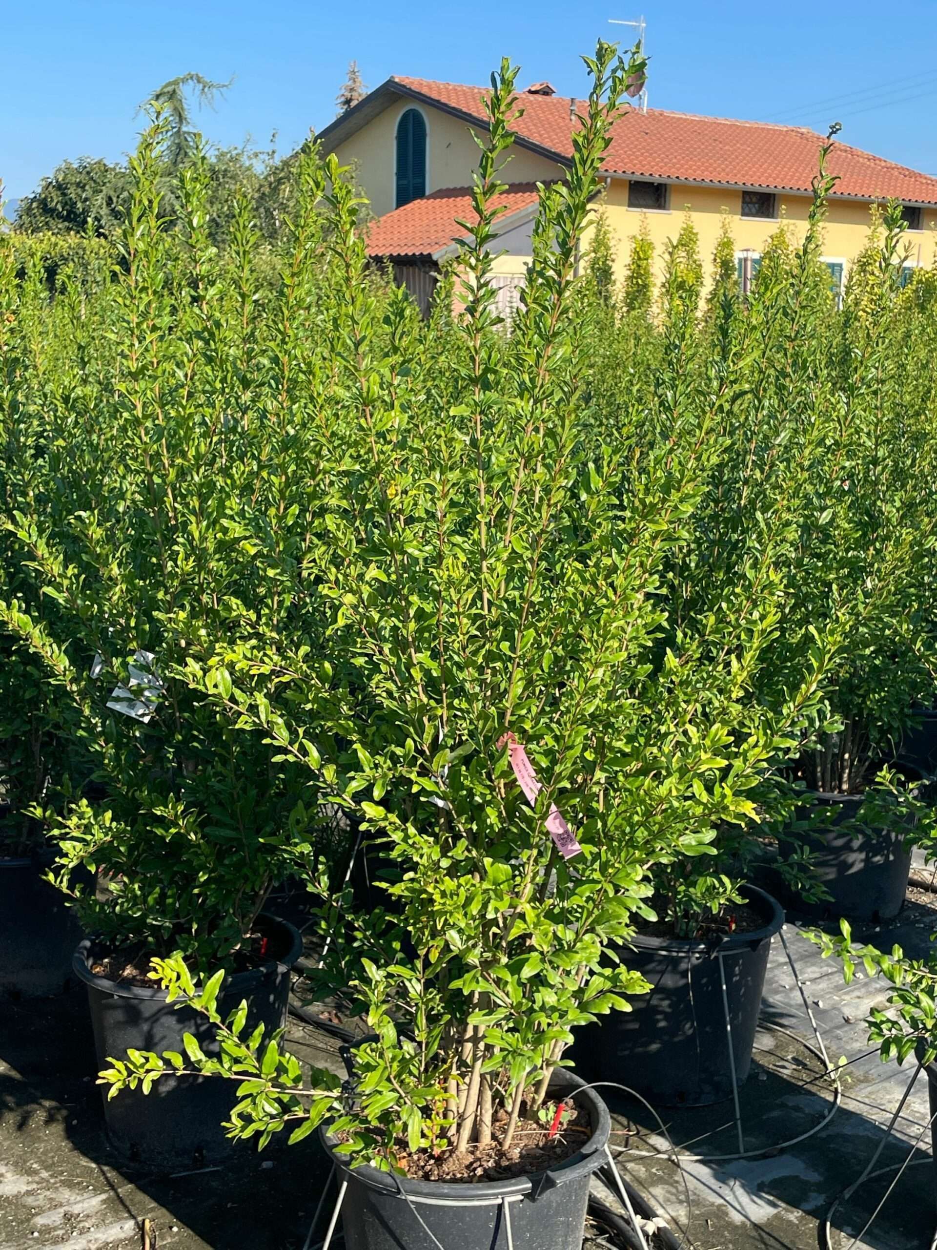 1692772916 scaled 9a1e3147