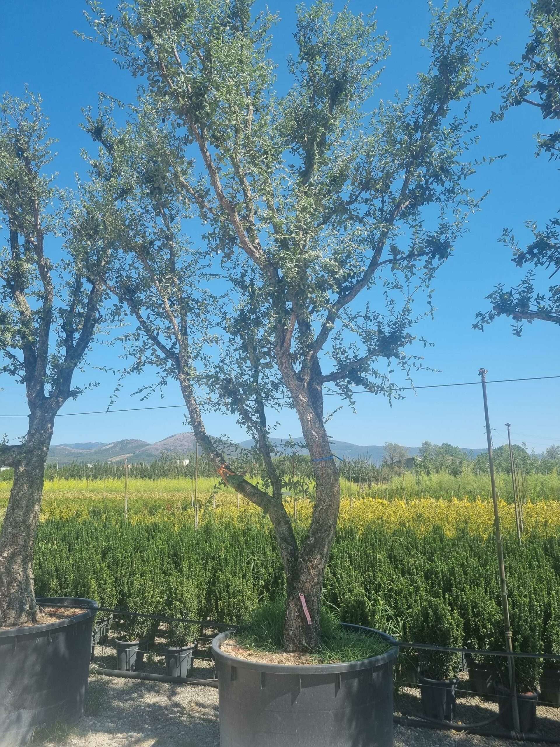 1692794504 scaled 9ad0aefb