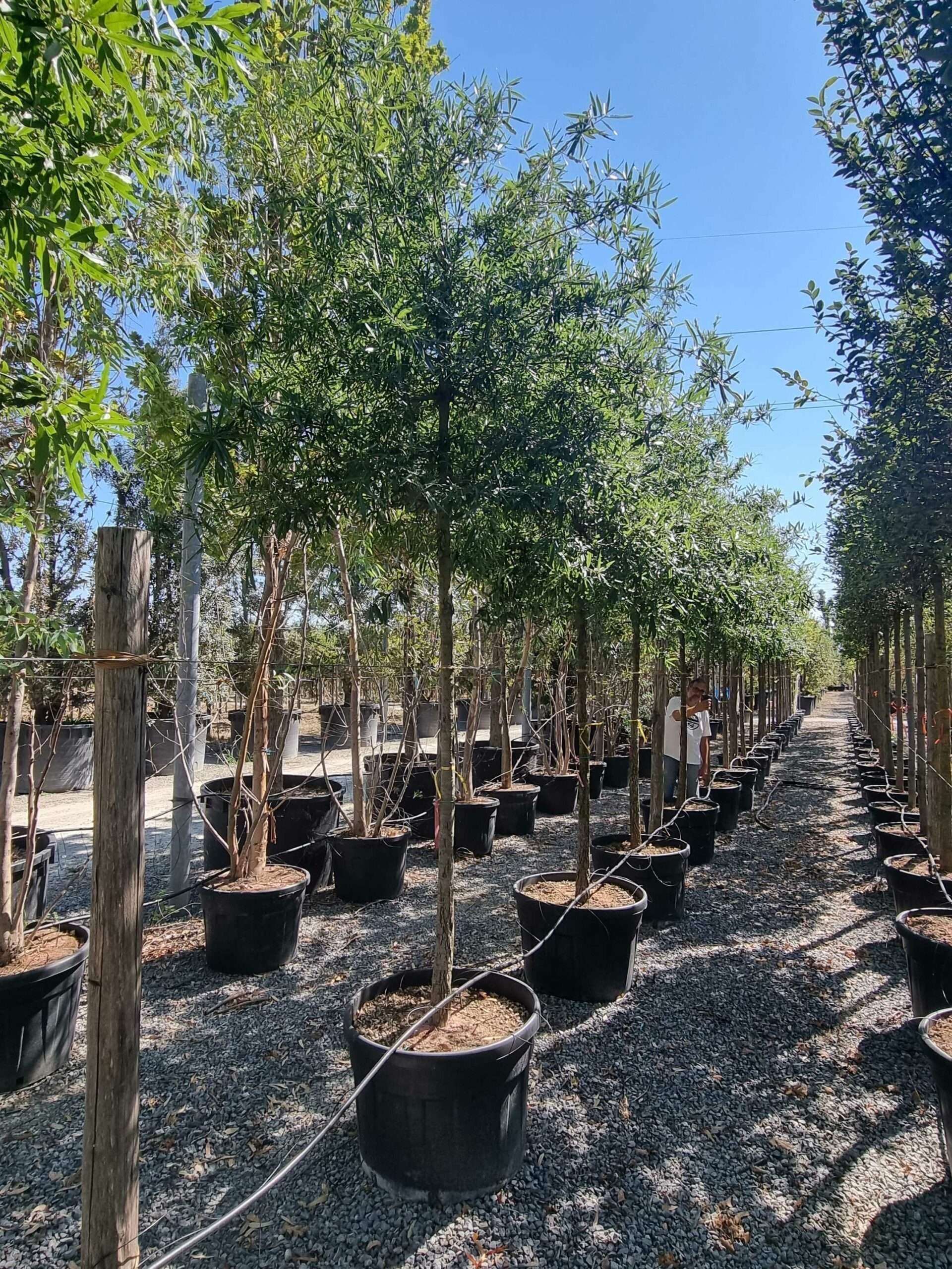 1692797380 scaled 9afd6cbd