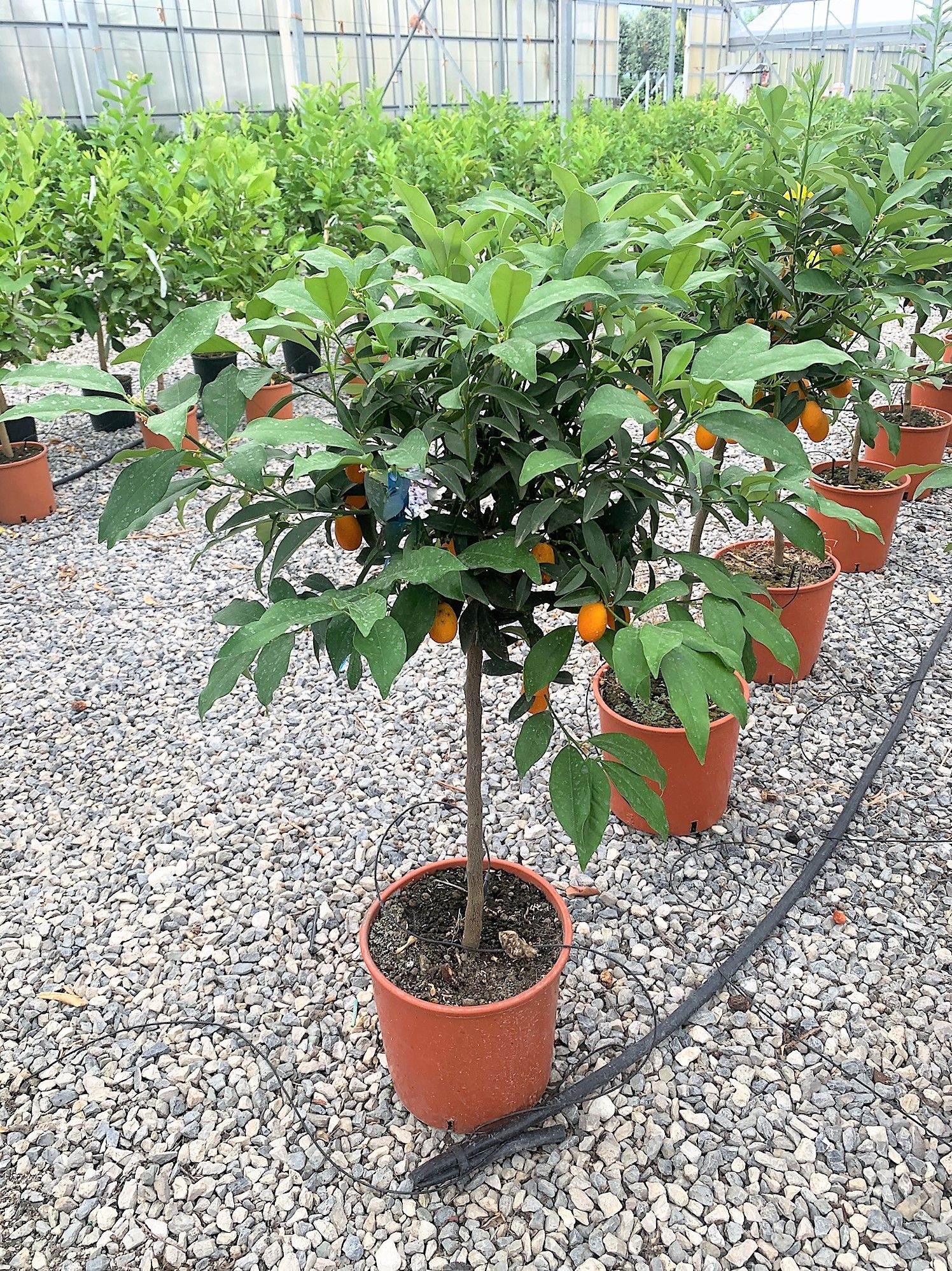 1629991655 016eab0ec6ad1a9ebb25666fe7f170778310122b50 9b127bc9