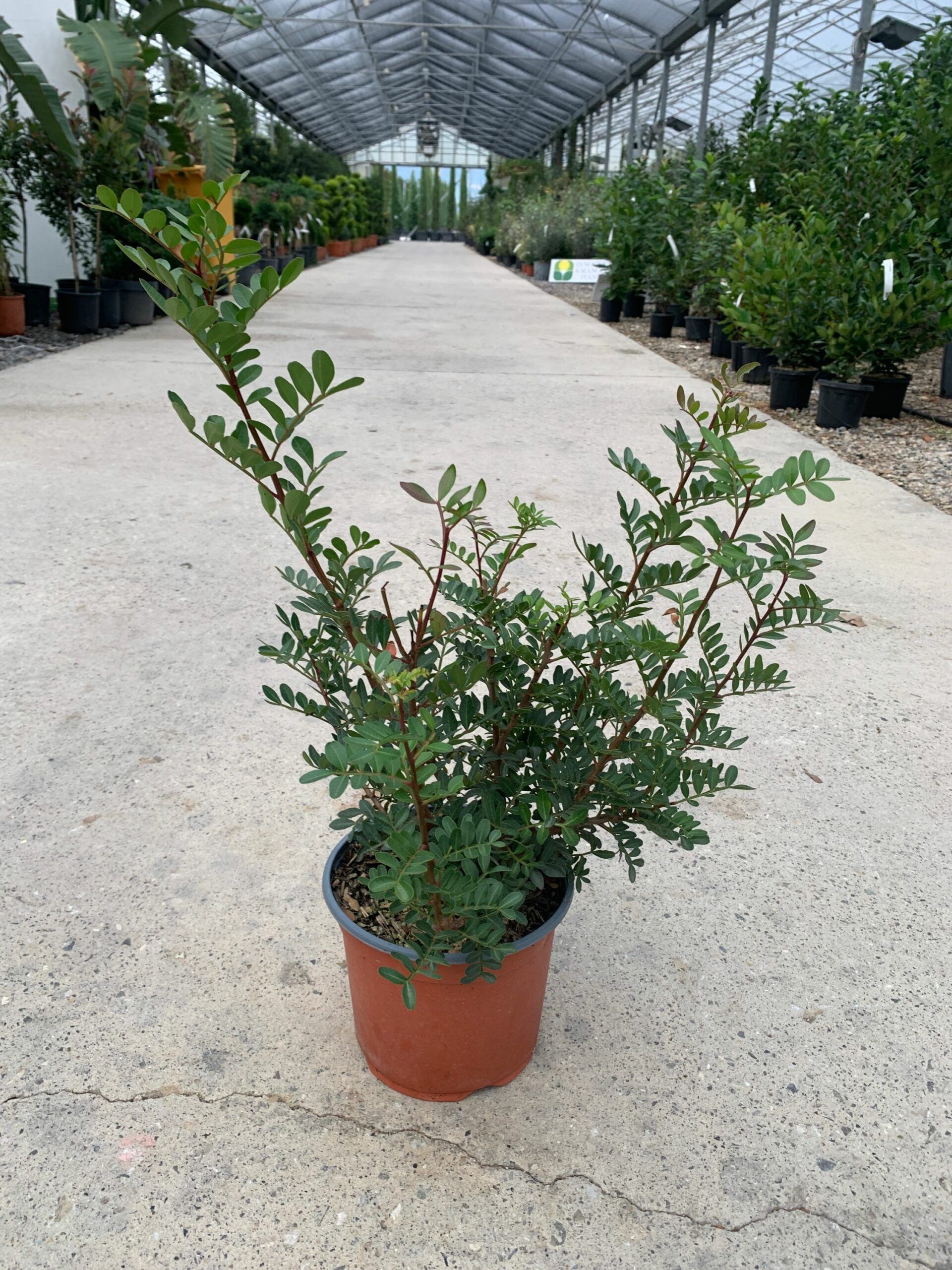 1634827040 scaled 9b70a1c6