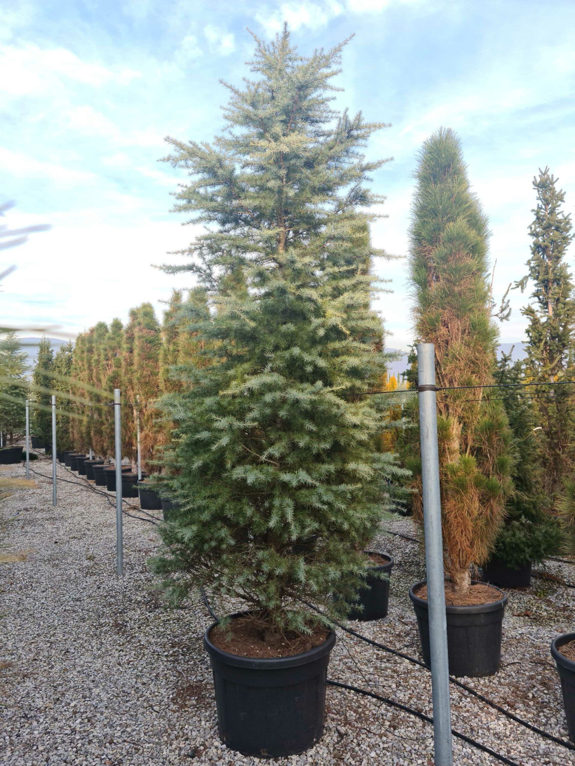 1639492119 scaled 9b32abea