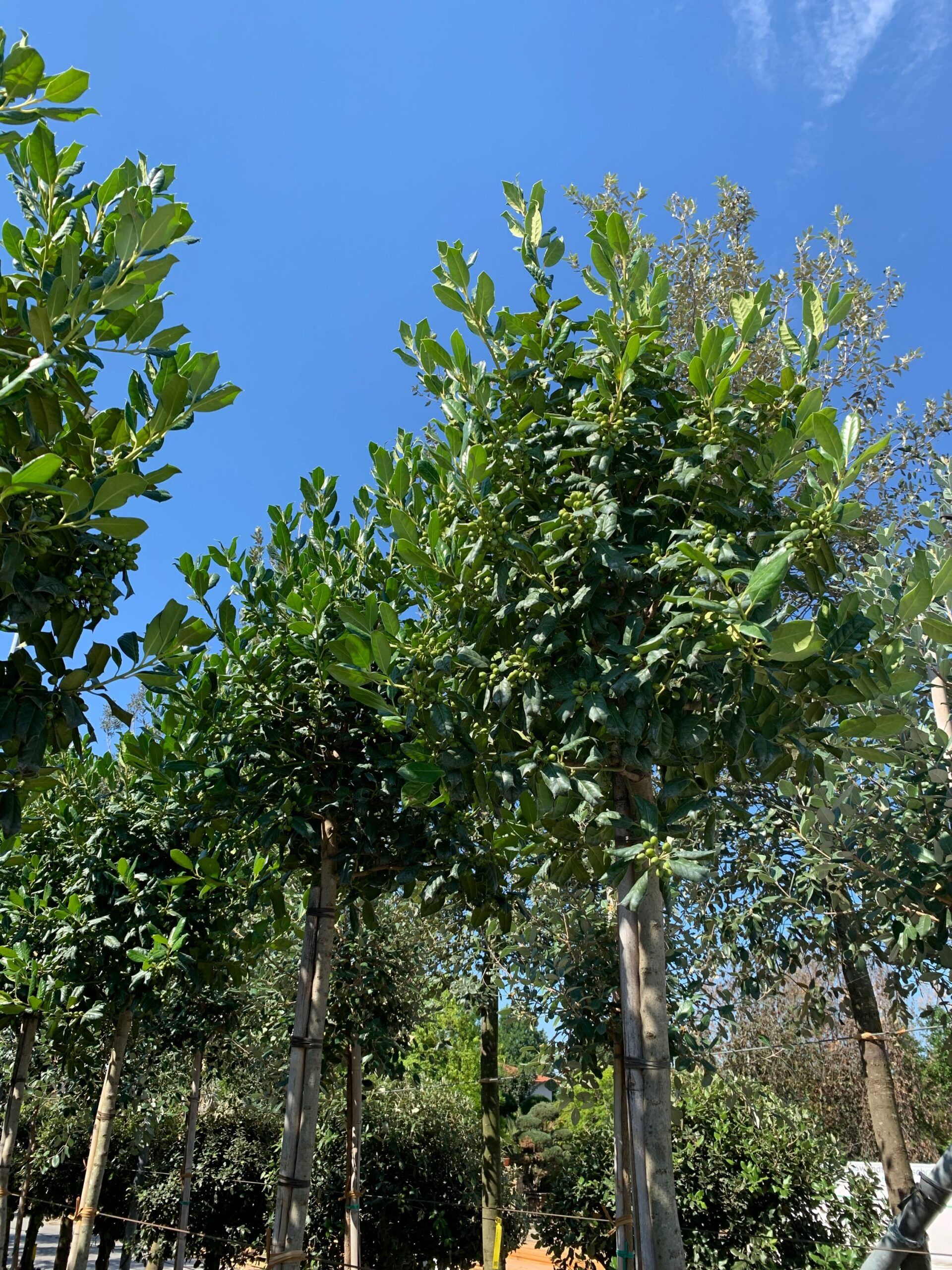 1657527481 scaled 9b582024