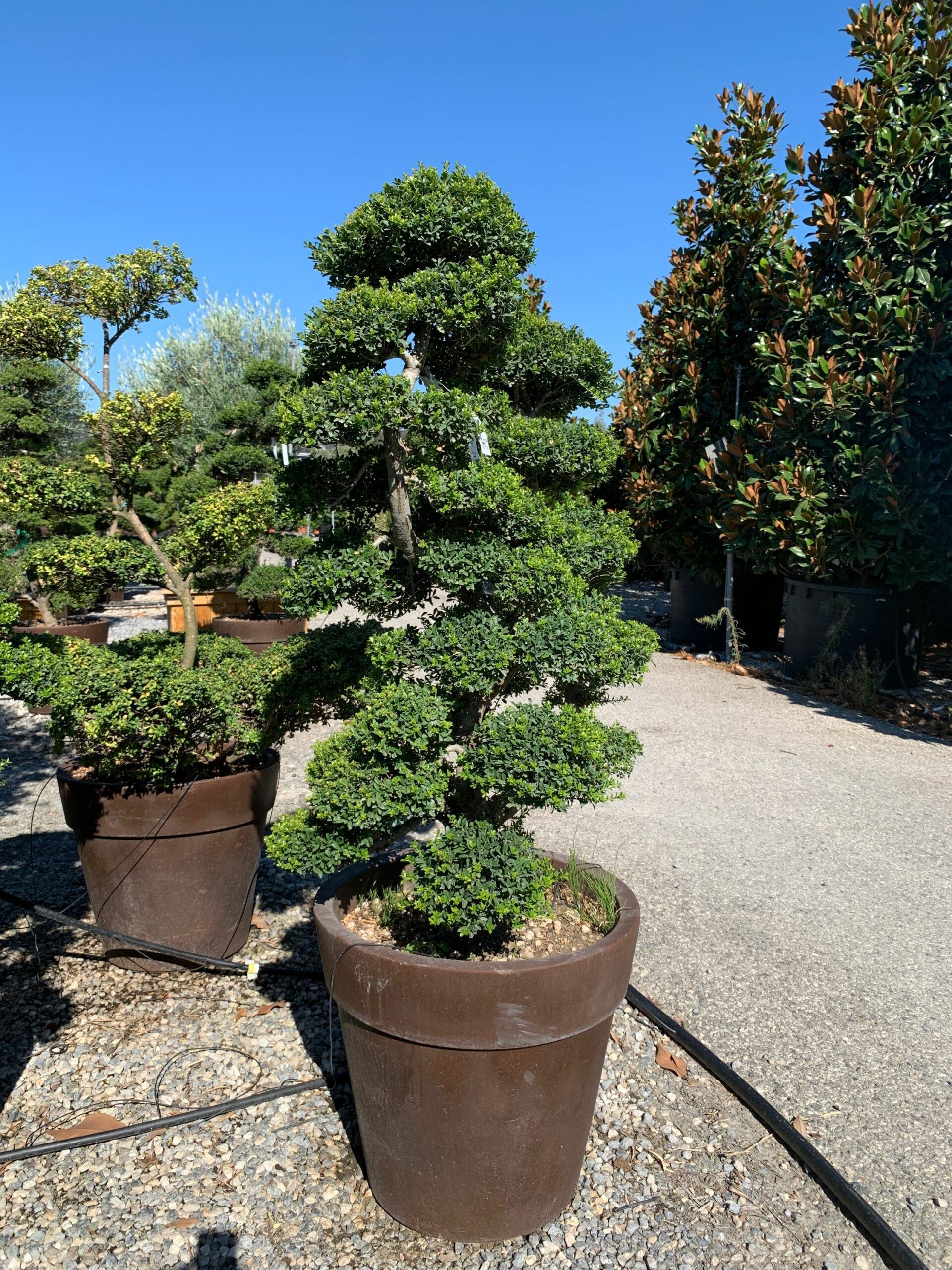 1659599280 scaled 9b122a4e