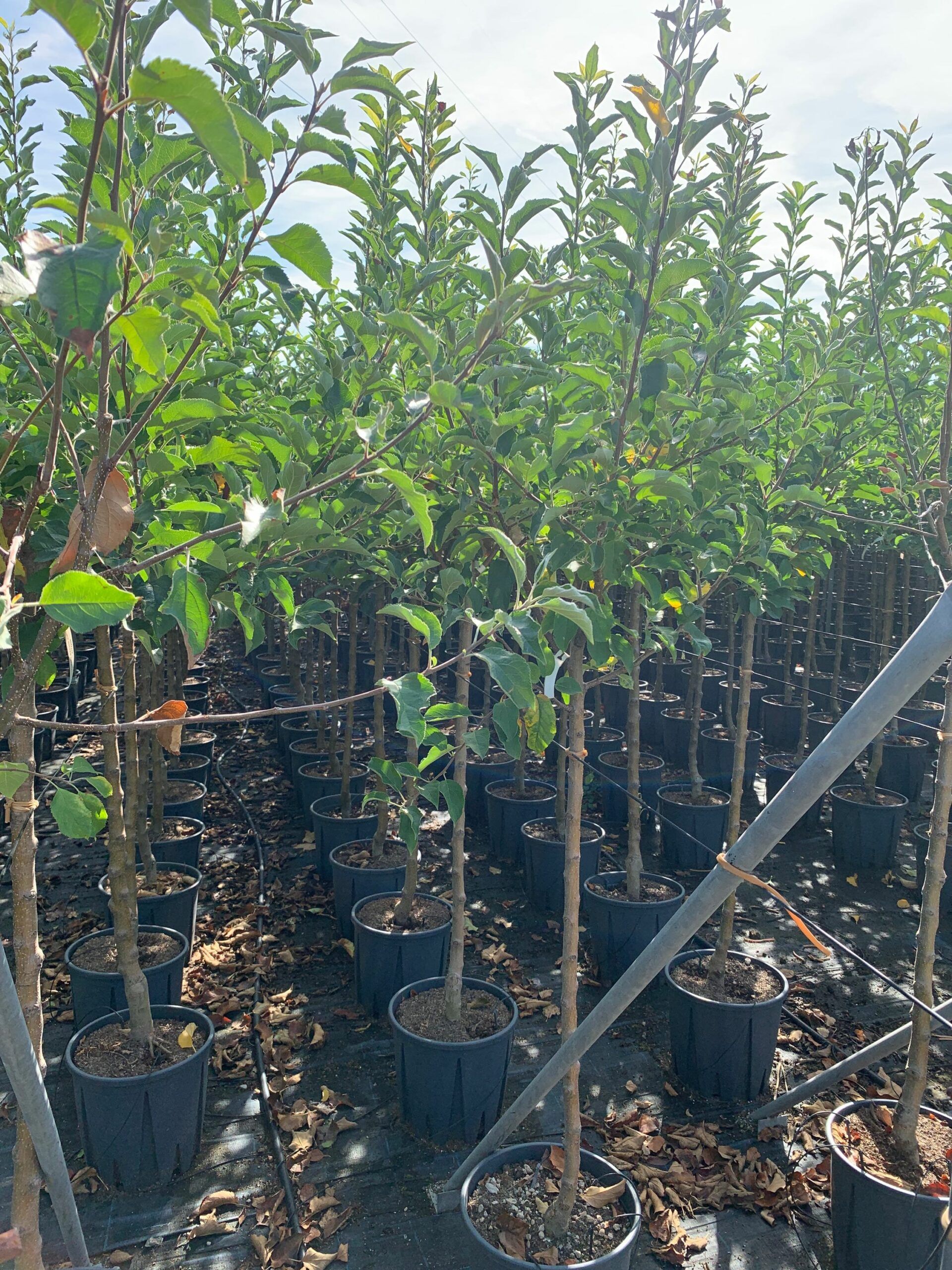 1662365292 scaled 9ba9f05d