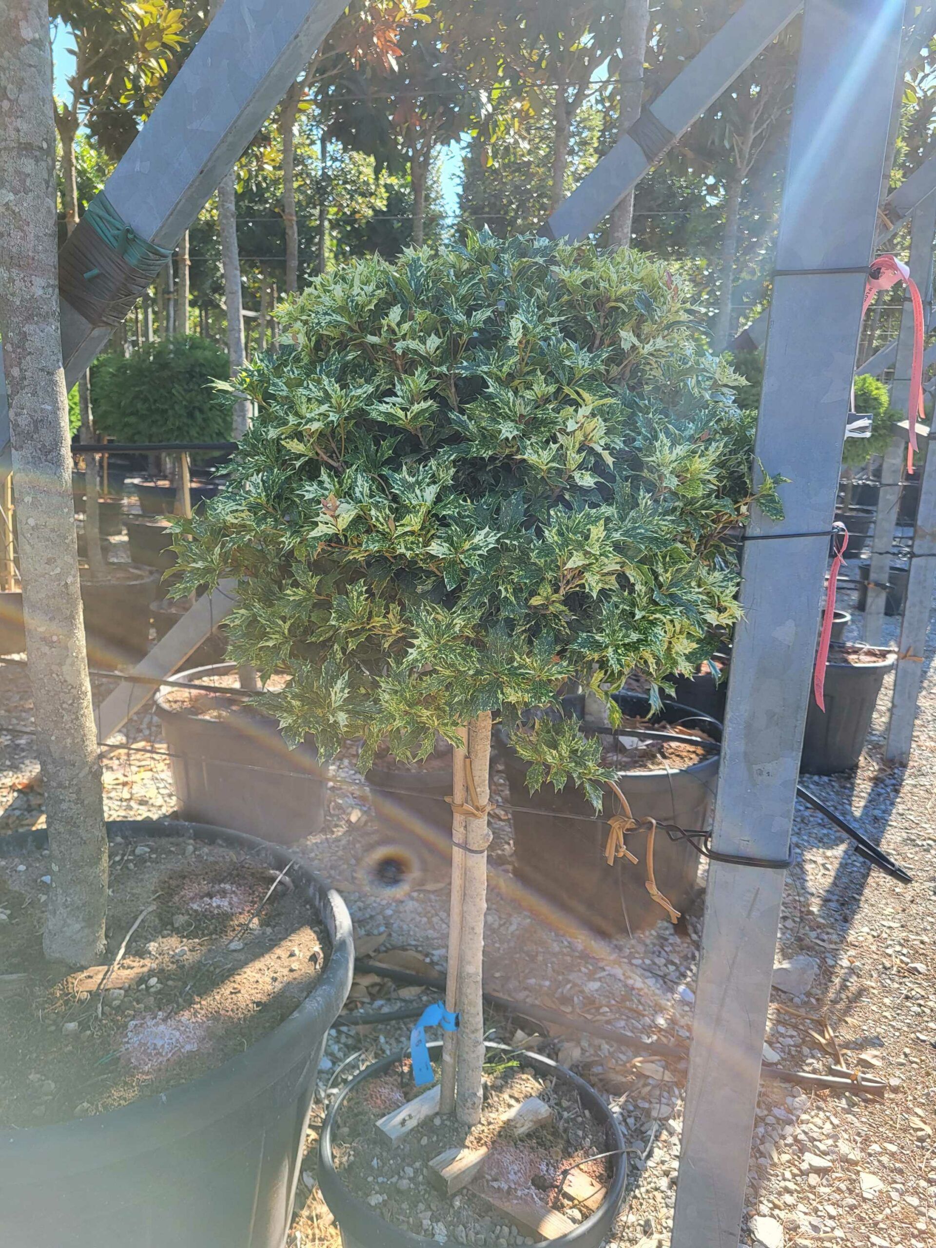 1691652464 scaled 9bee04ed