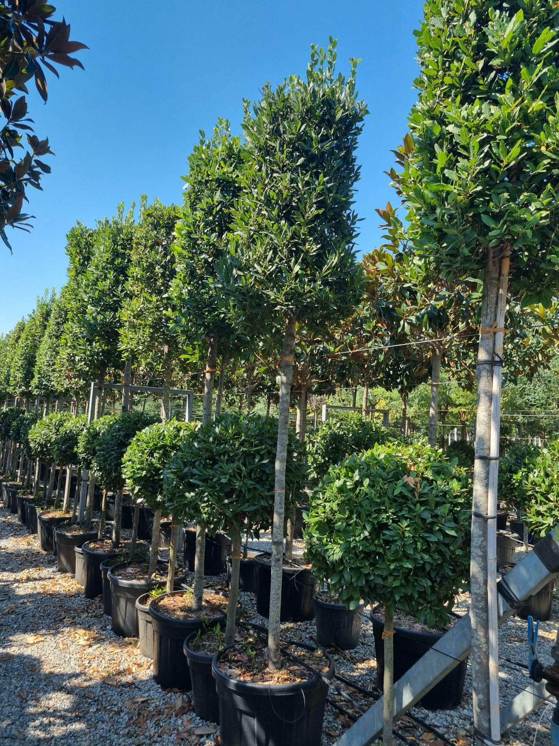 1692608408 scaled 9b938696