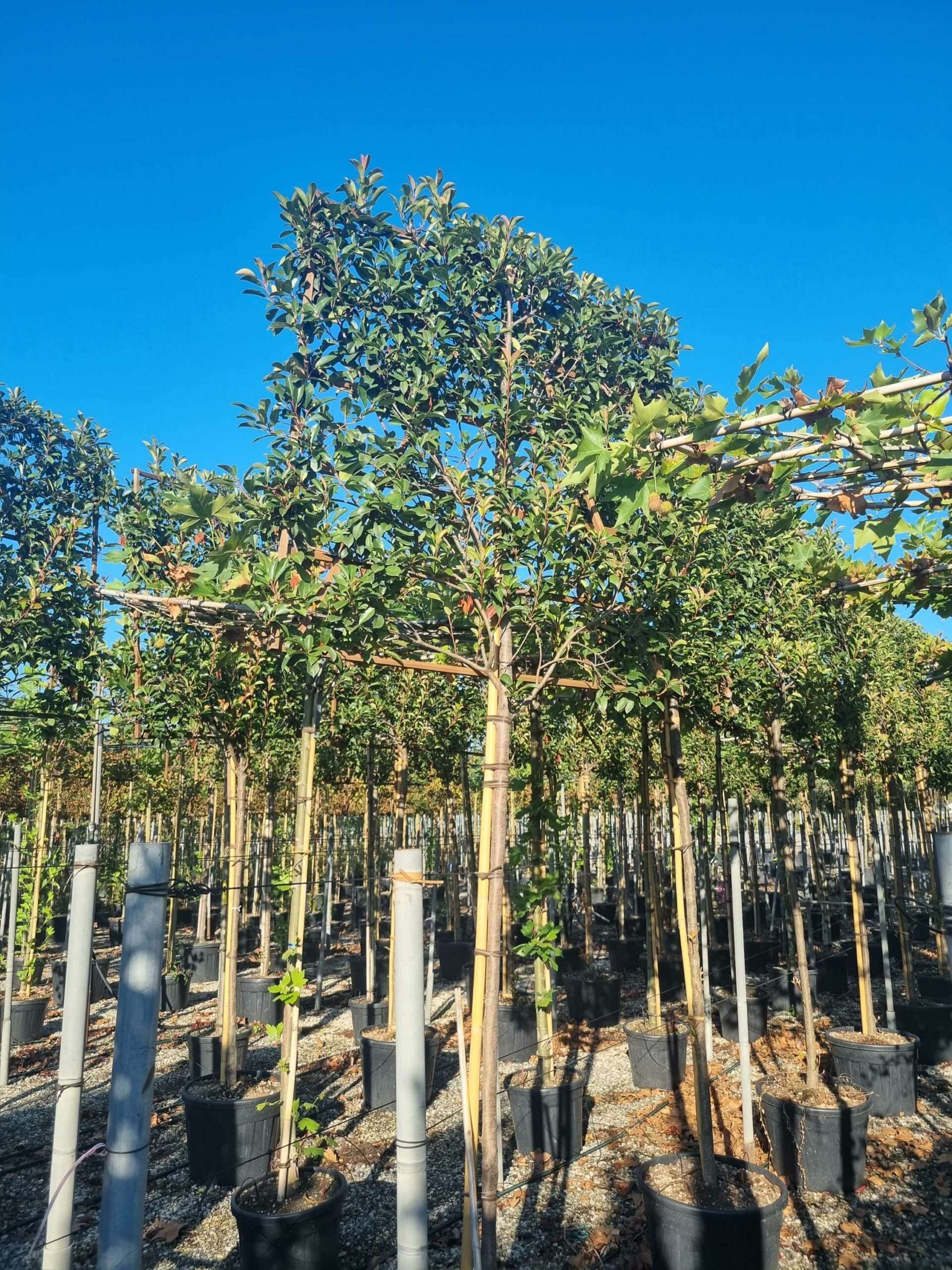 1695654295 scaled 9b9a82a1