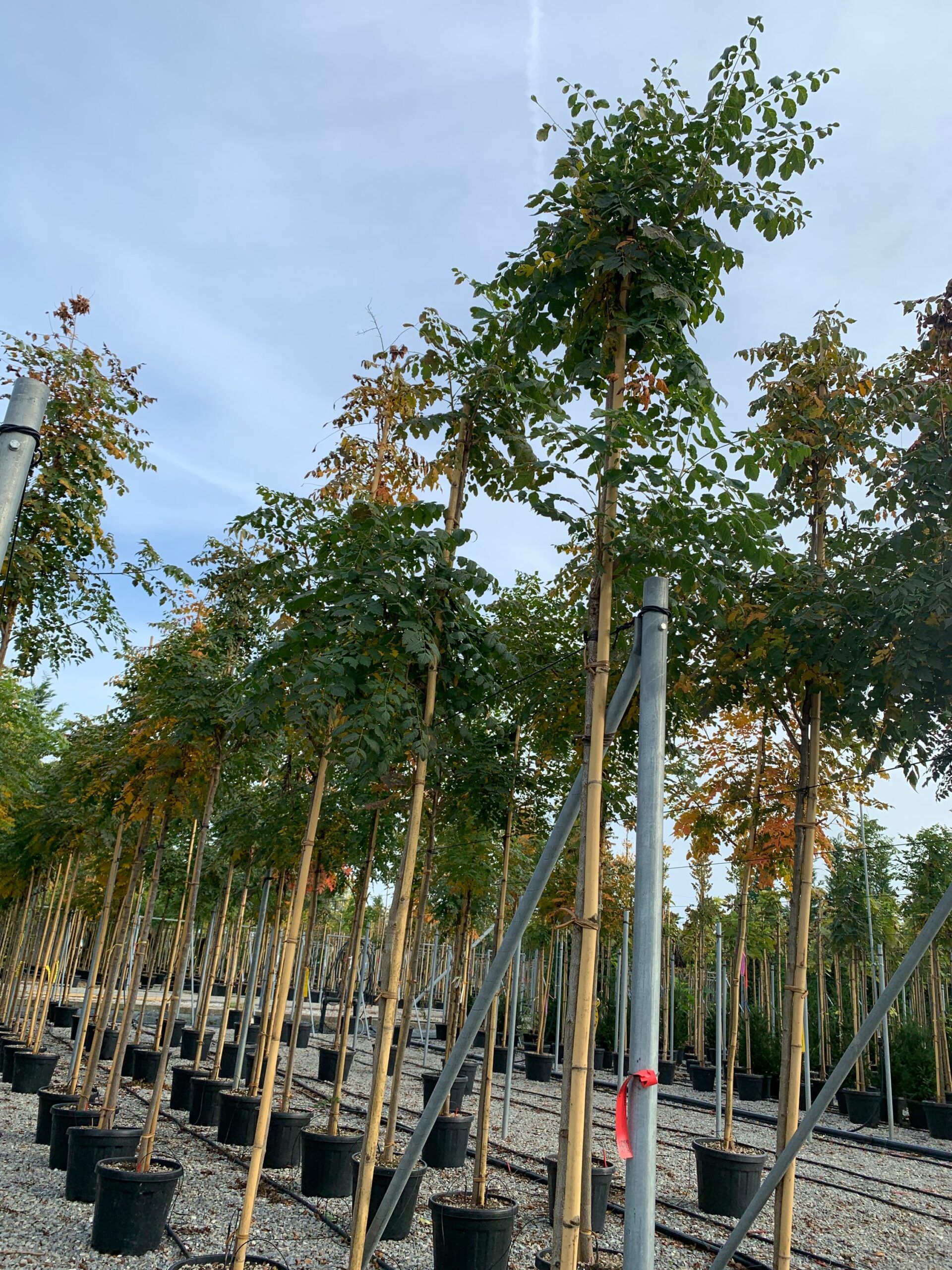 1635171019 scaled 9c065514