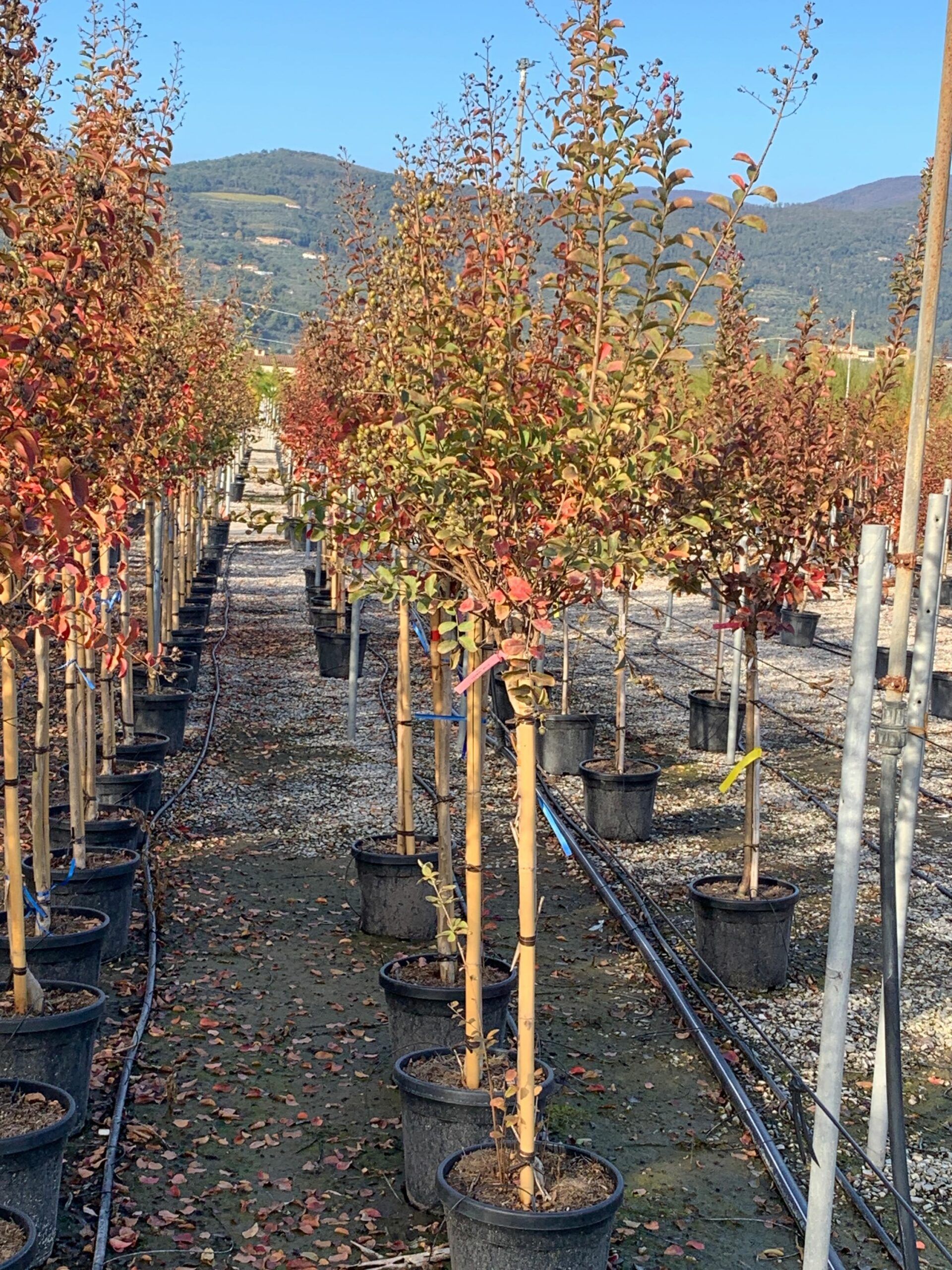 1635430116 scaled 9cf8a682