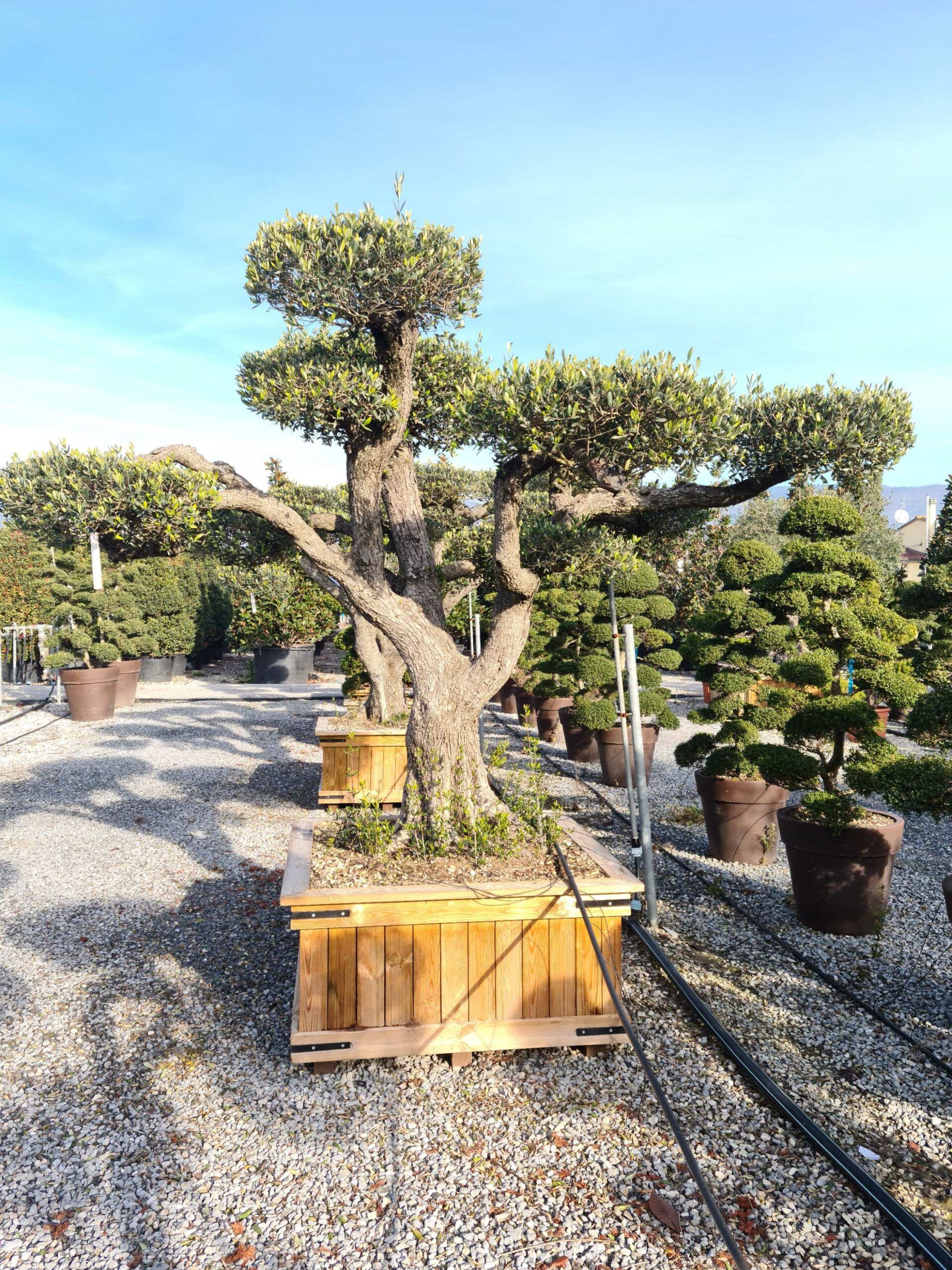 1639563306 scaled 9c19667e