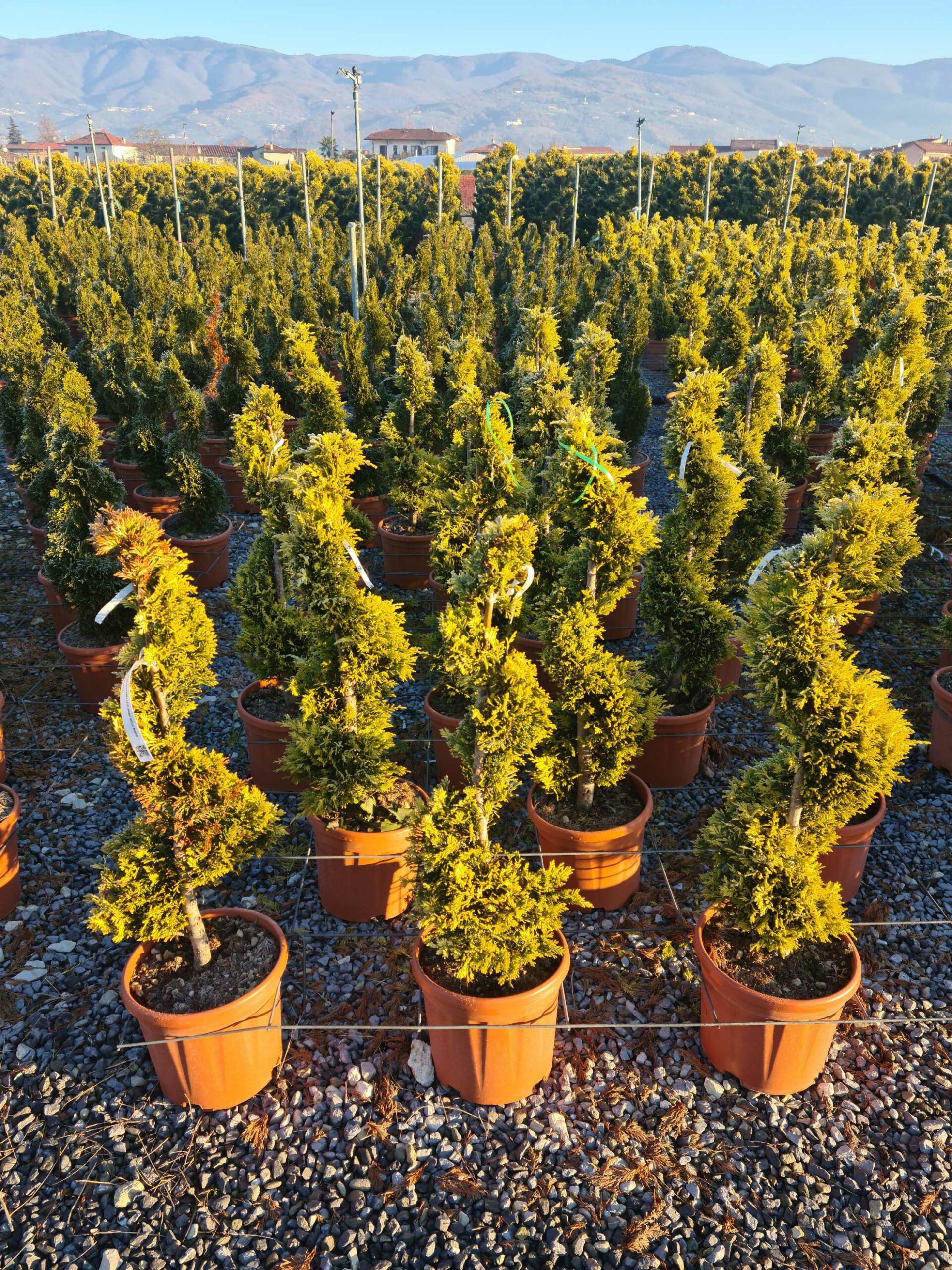 1639814162 scaled 9c900b93