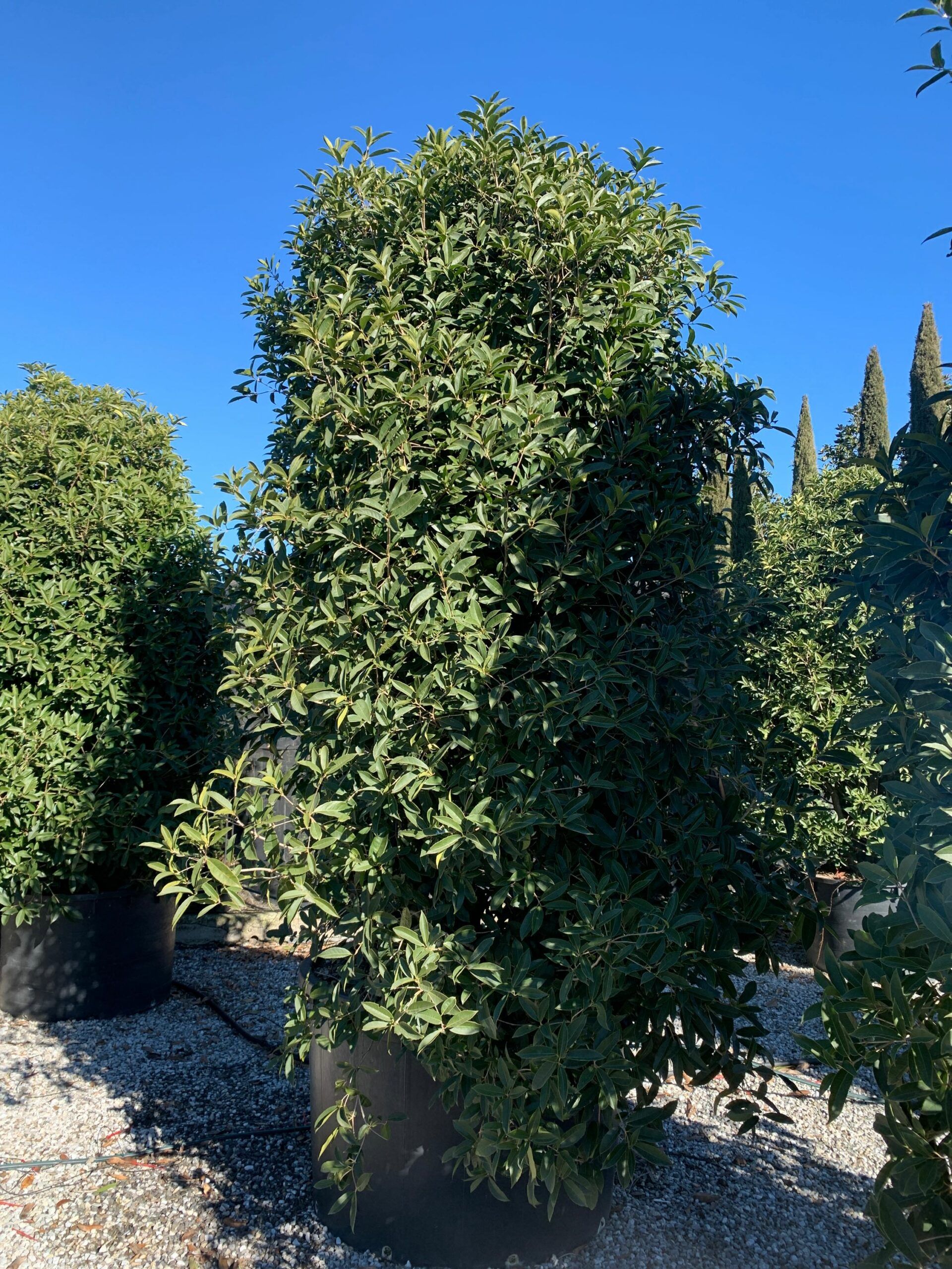 1643711661 scaled 9c97a663