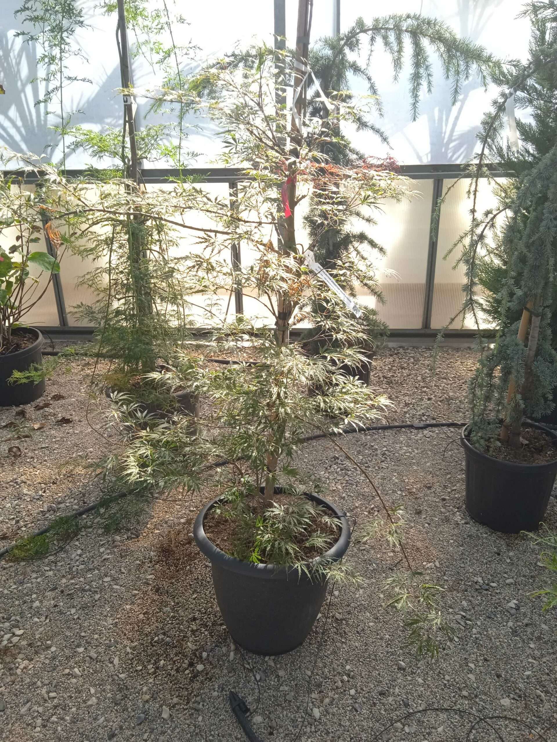 1662364876 scaled 9ccbc5a9