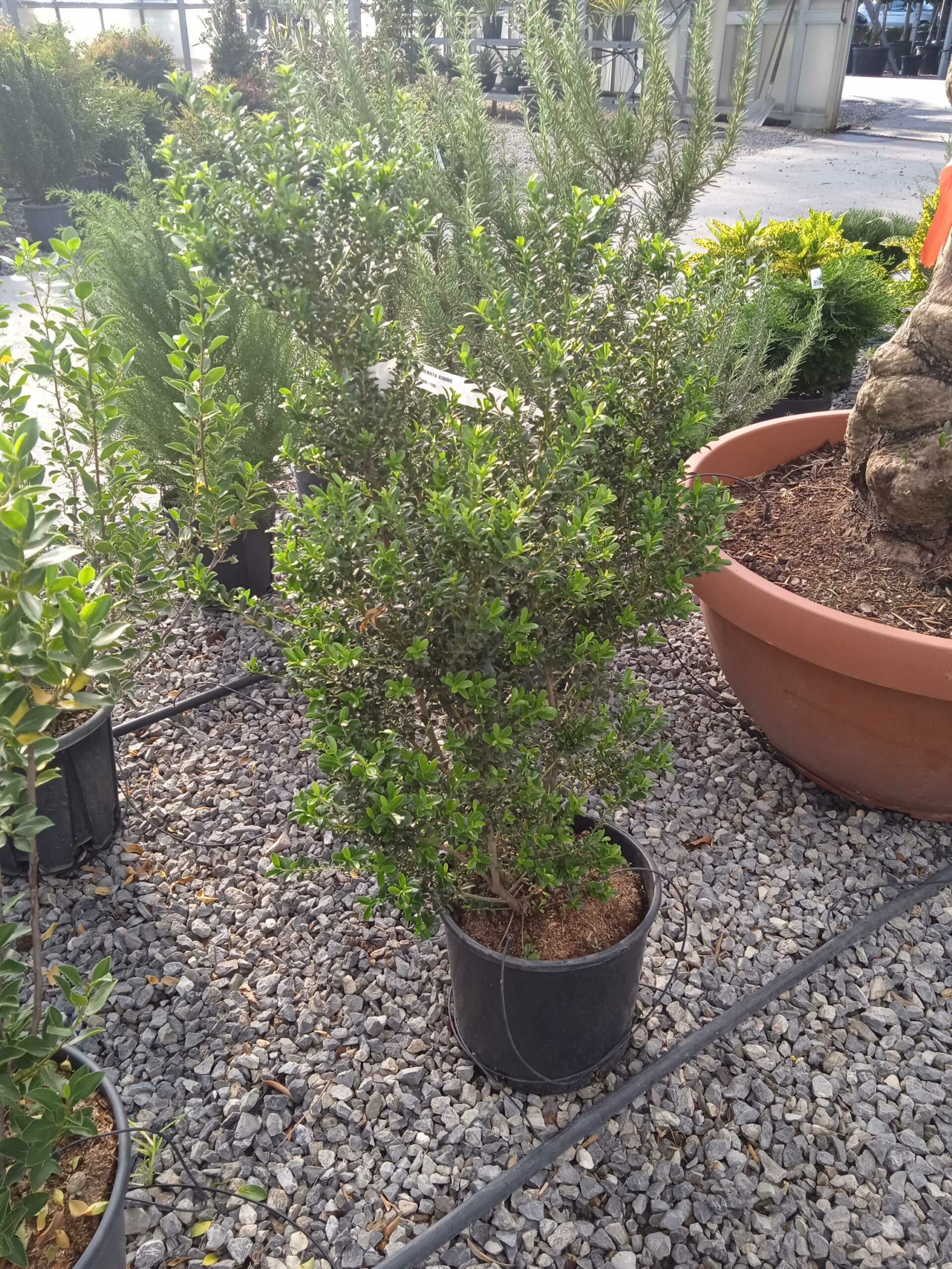 1662449976 scaled 9c6b814d