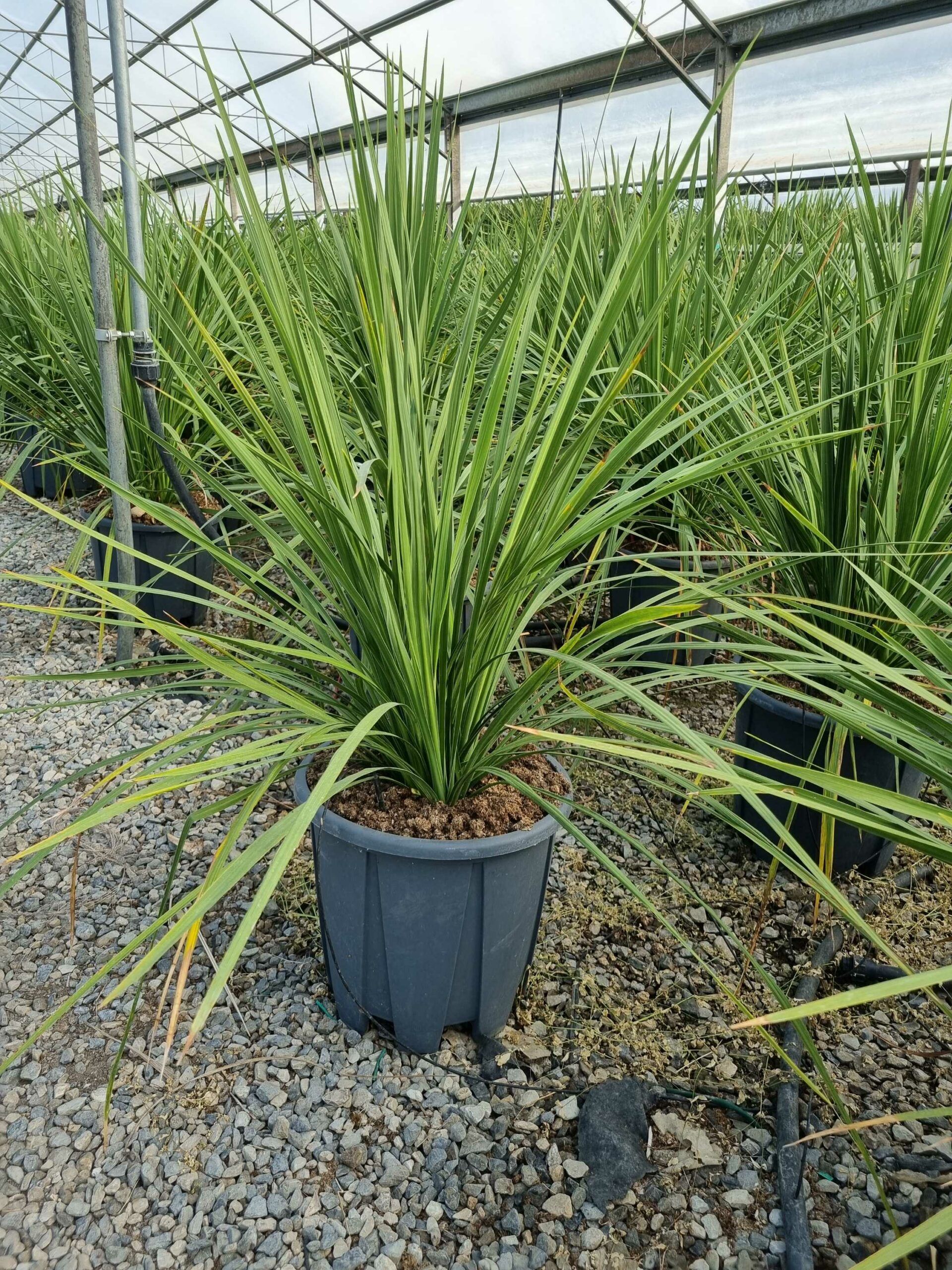 1665563325 scaled 9cbcd637