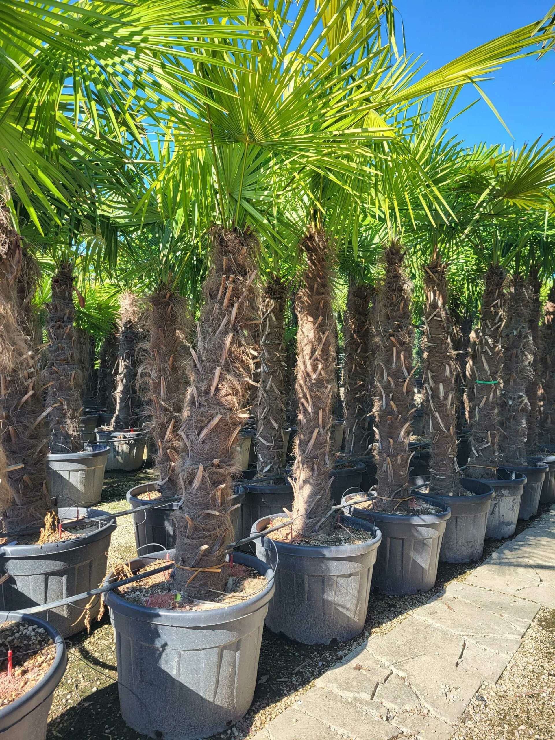 1691479897 scaled 9c73a1e1