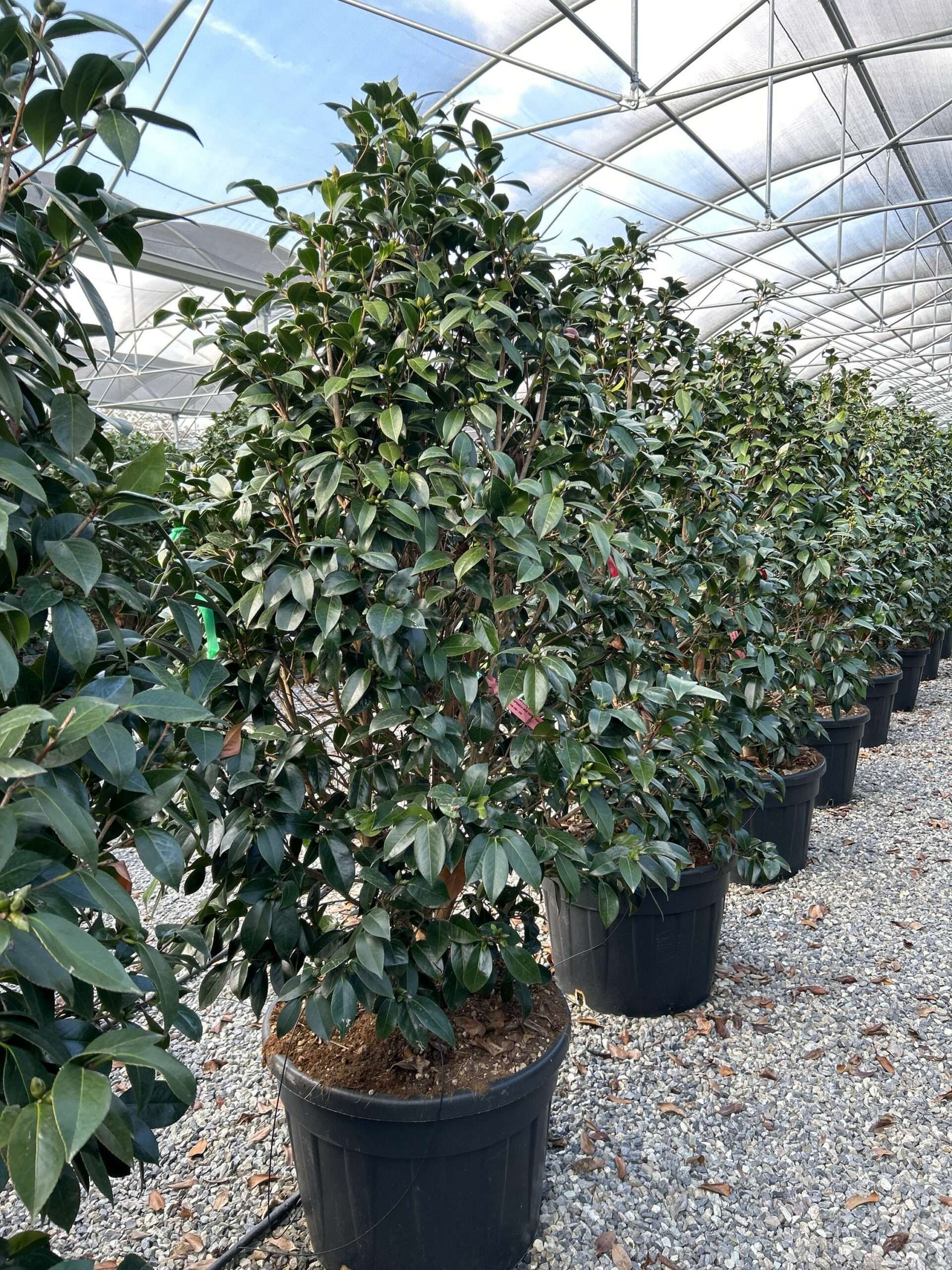 1697287473 scaled 9c3b6c65