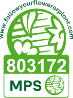 certificazione mps Innocenti & Mangoni Piante