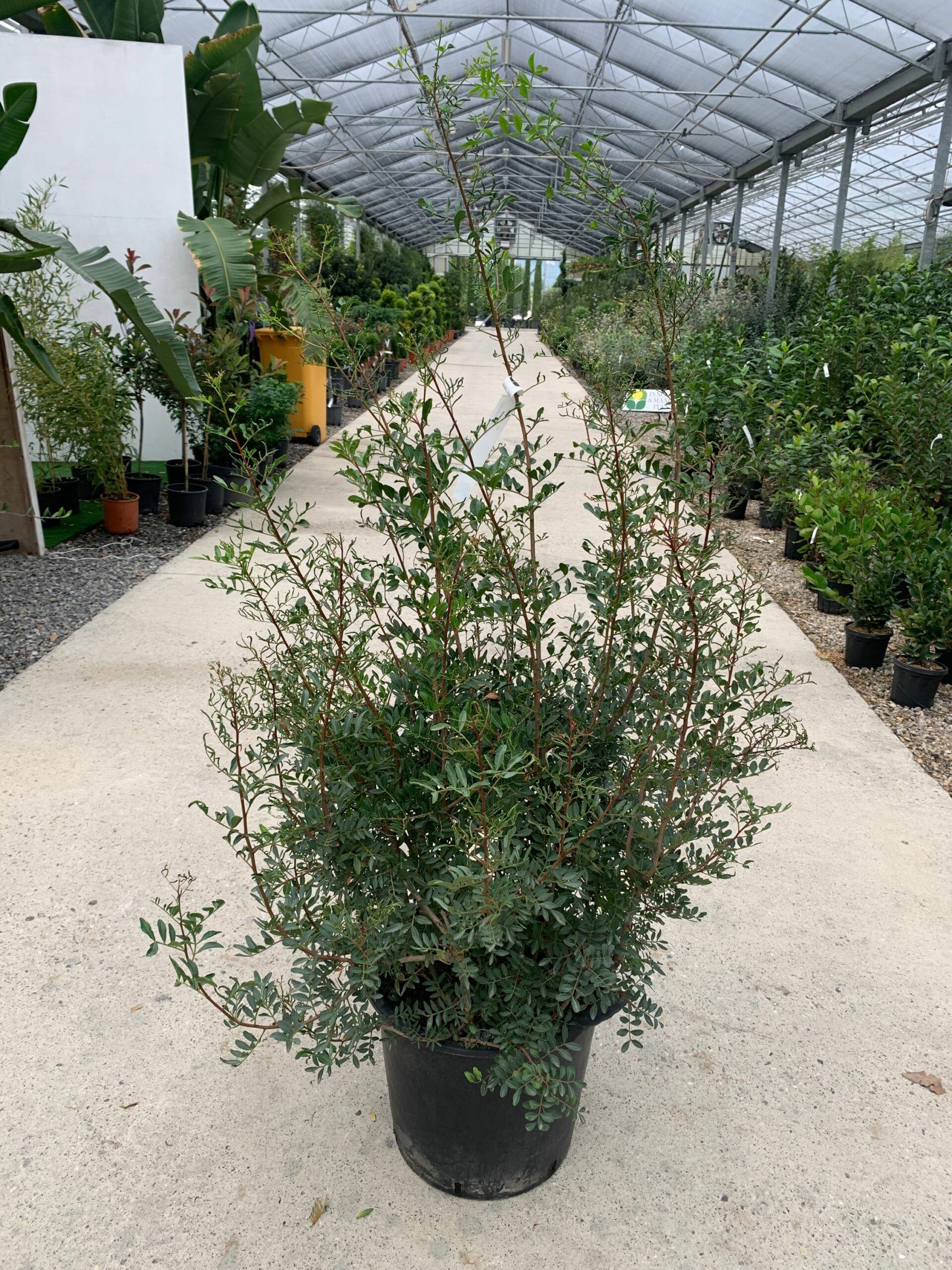 1634827224 scaled 9d9275fc