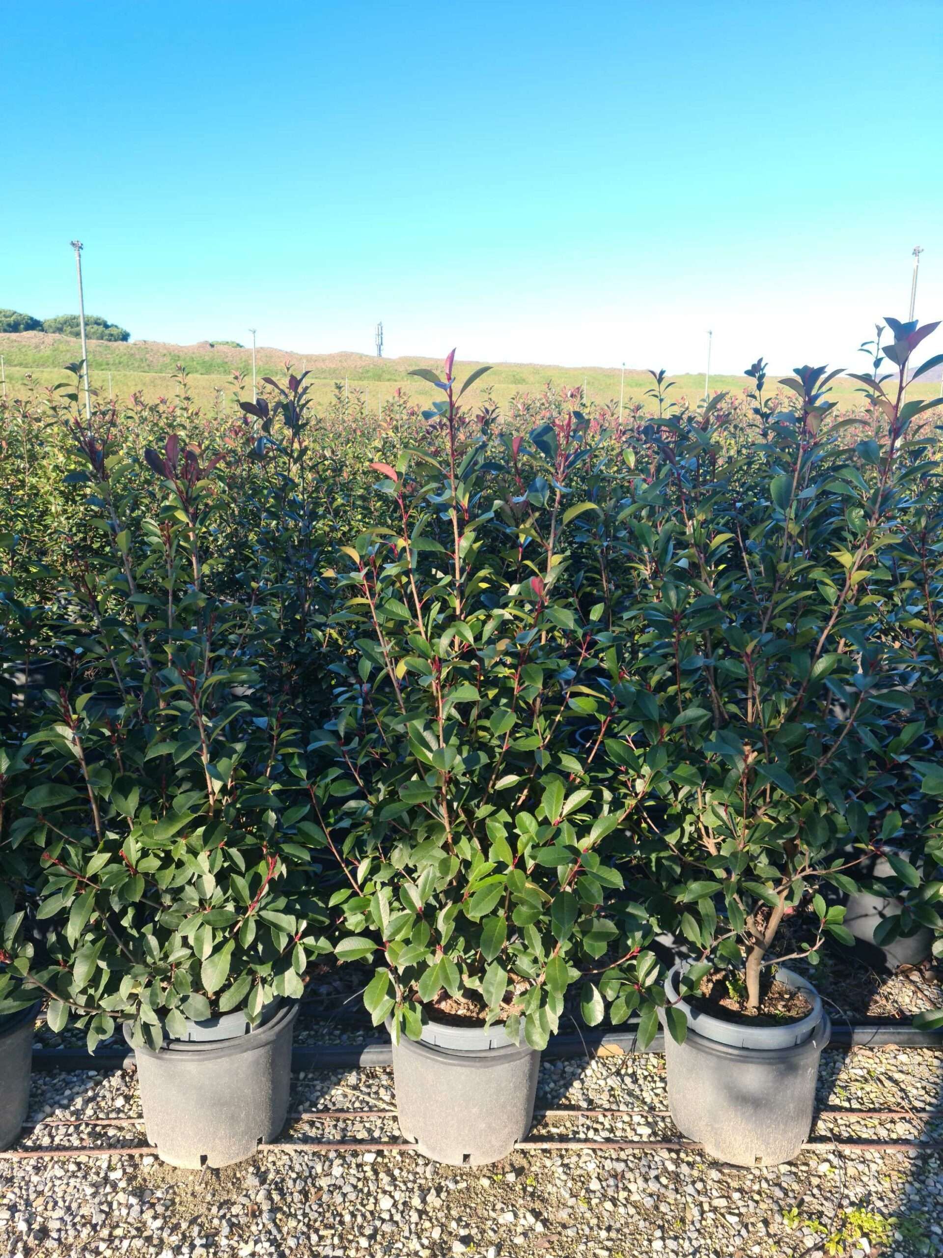 1639731892 scaled 9ddd94d9