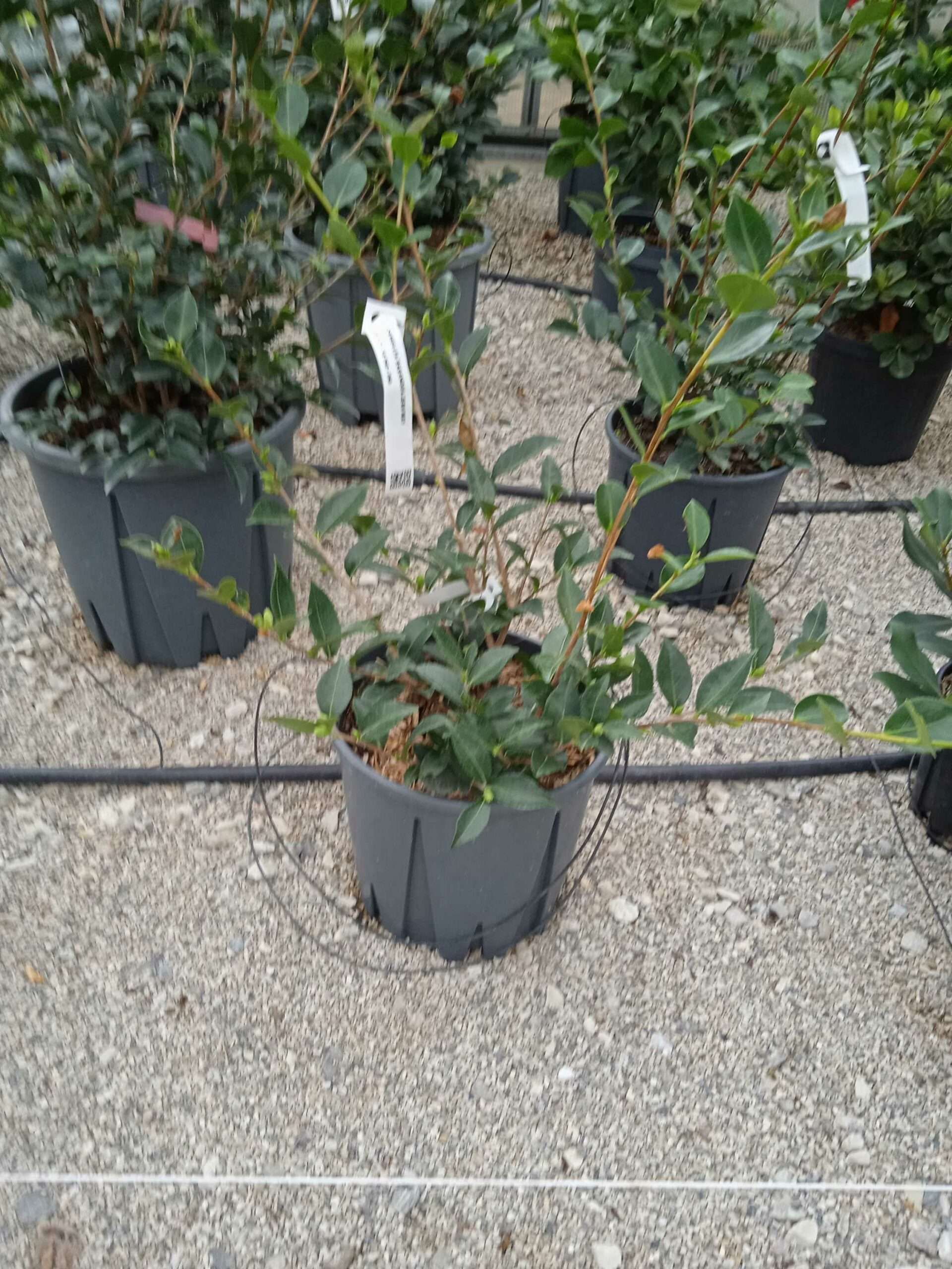 1662188930 scaled 9deac757