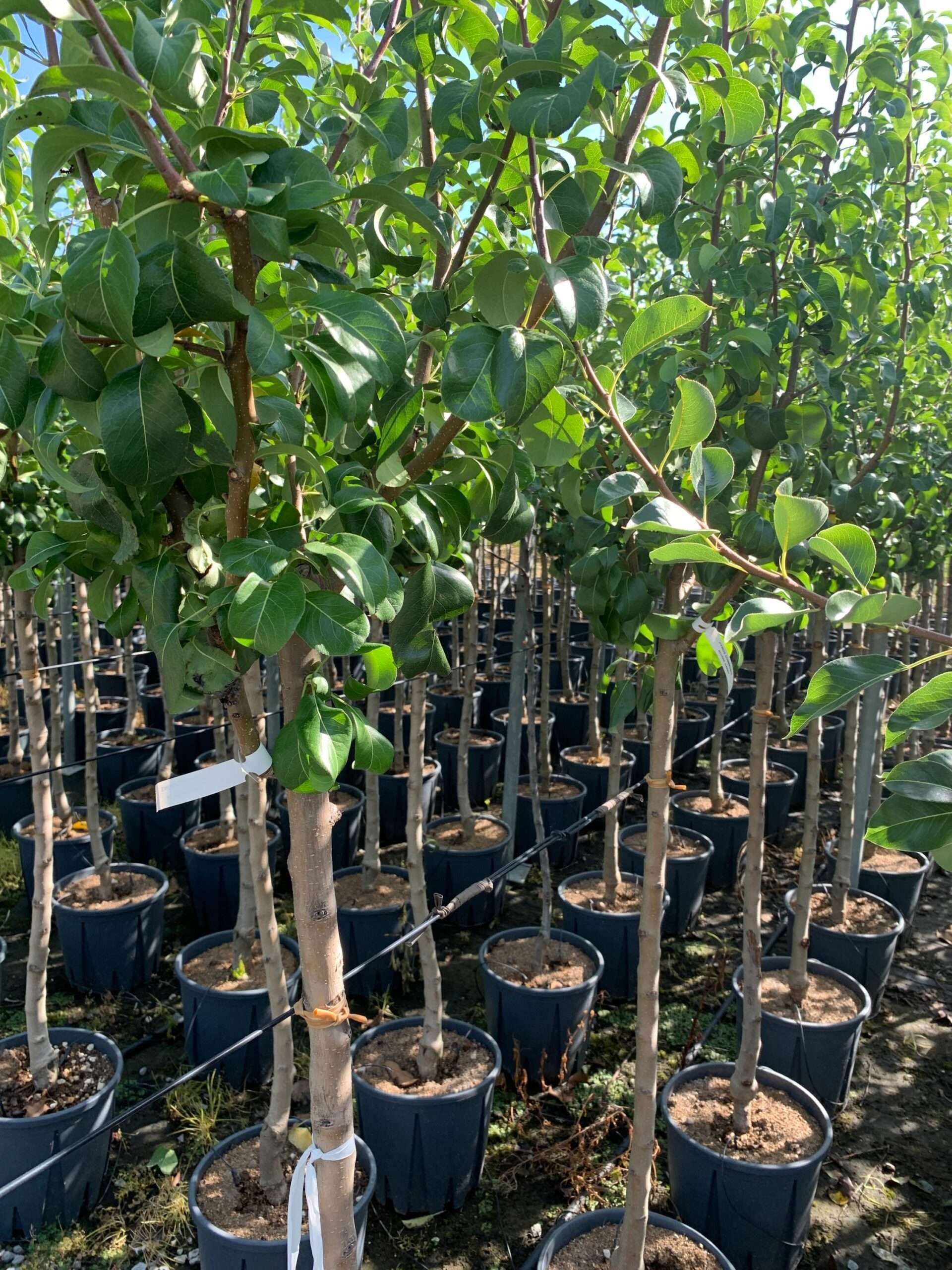 1662366154 scaled 9d6ccba8