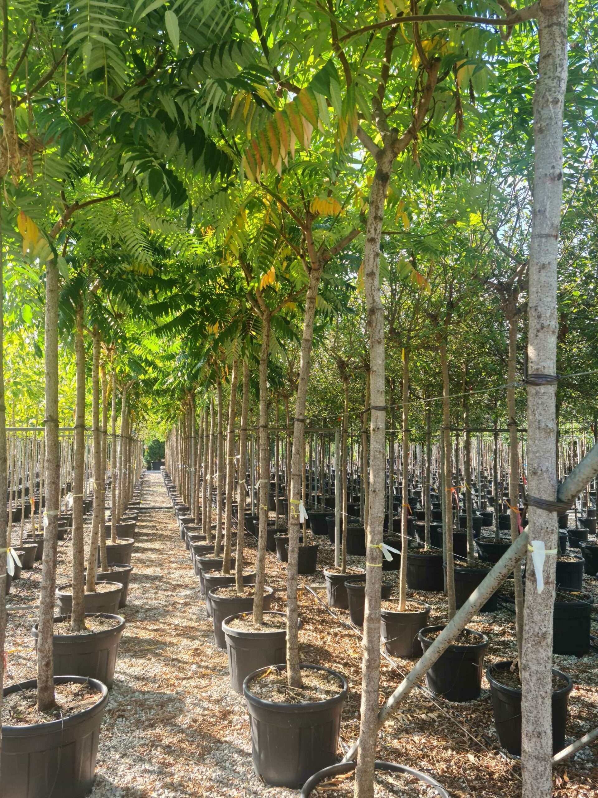 1662991624 scaled 9d1f89d8