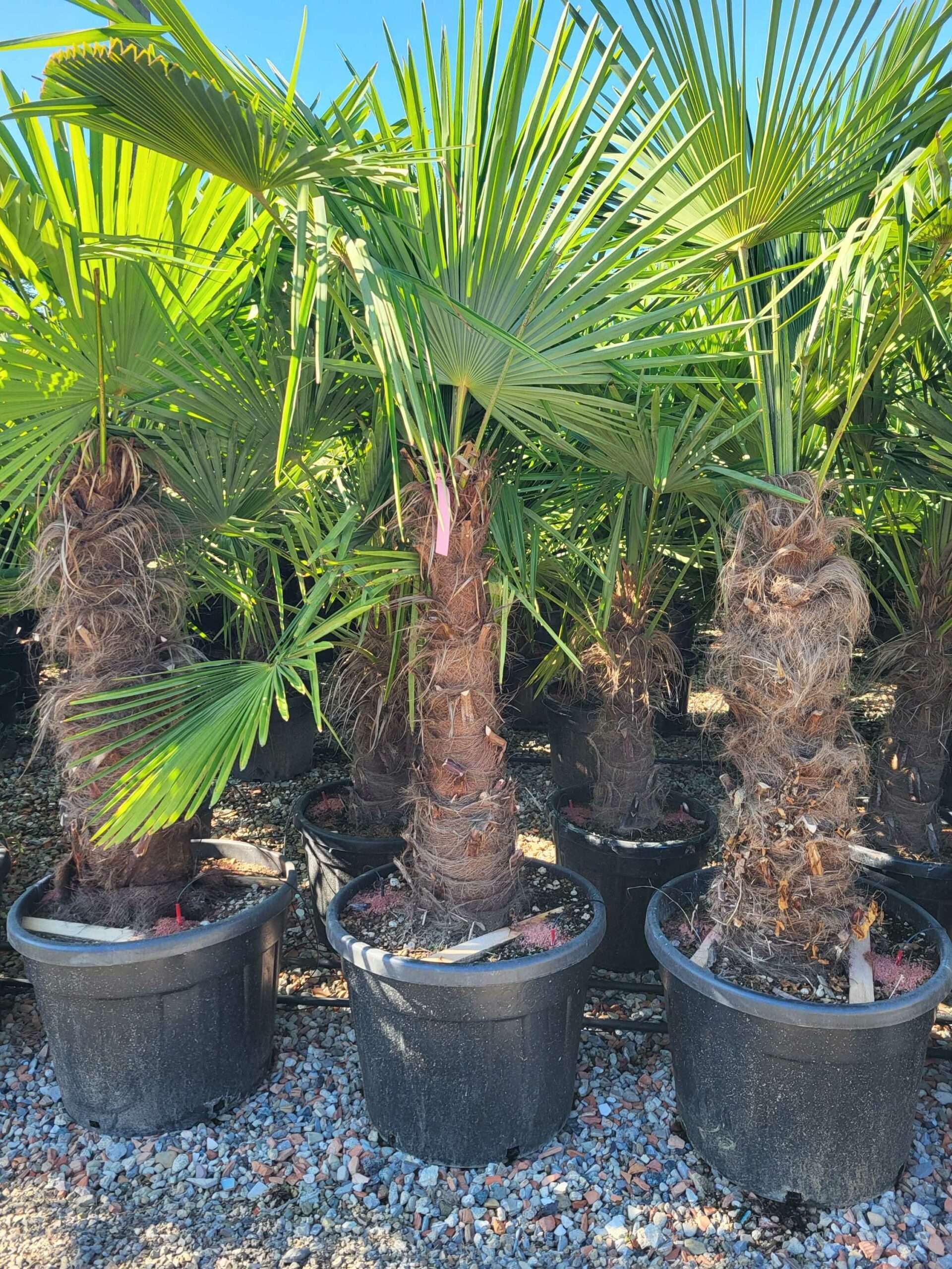 1691478861 scaled 9d623715