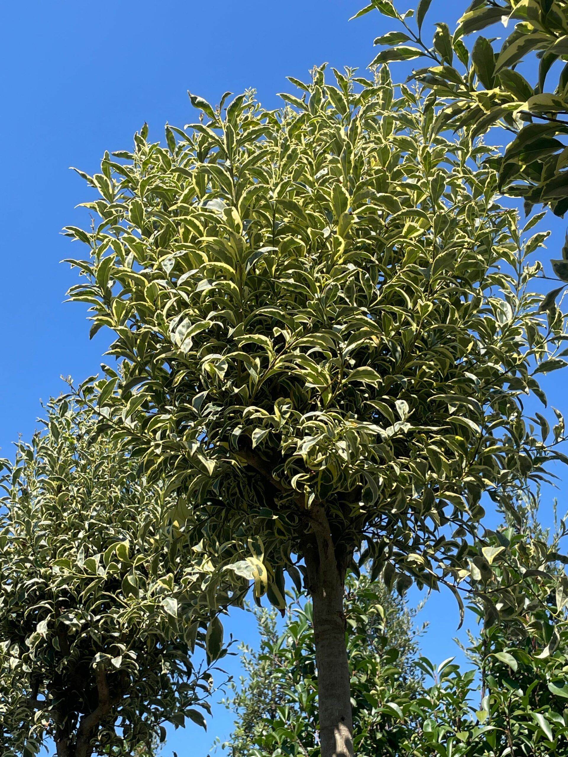 1692624095 scaled 9dba9728