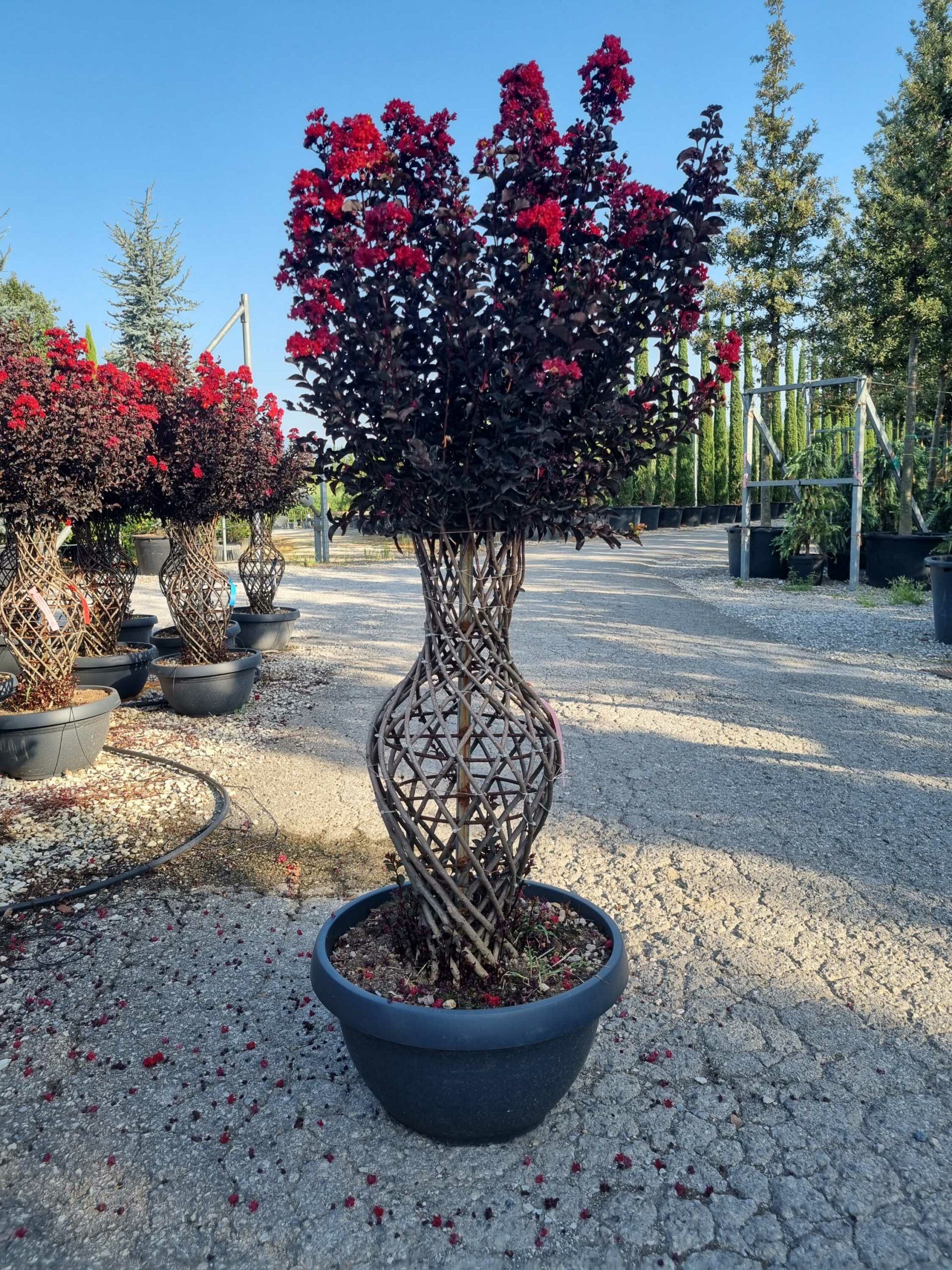 1692945746 scaled 9db599c8