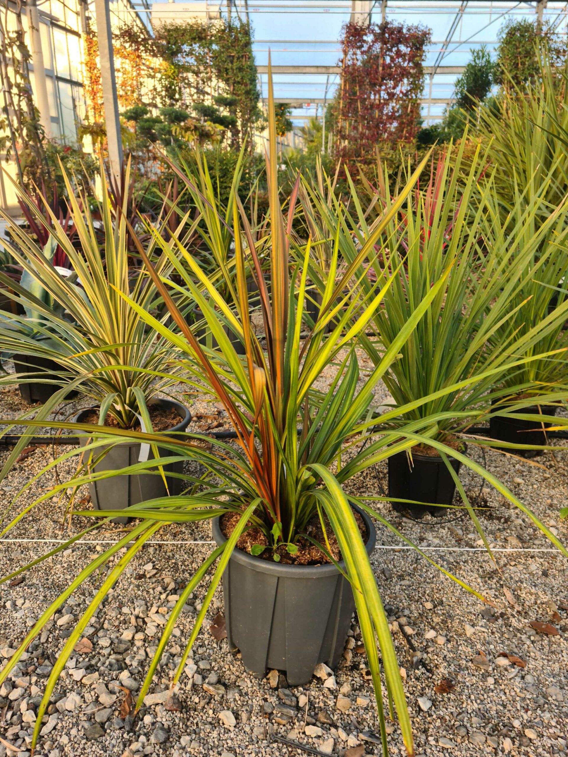 1639467788 scaled 9e731a92