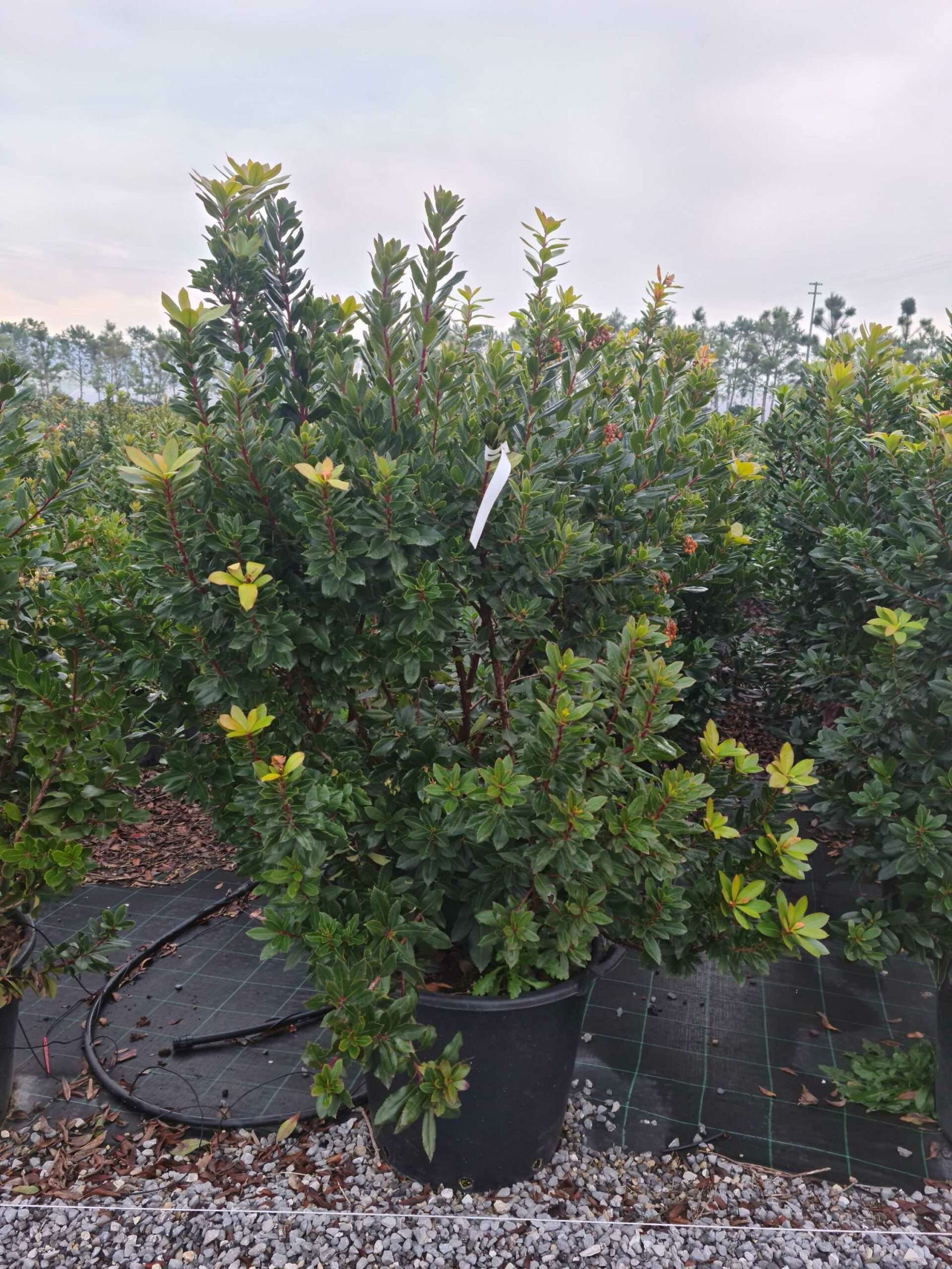 1640249278 scaled 9ef11c02