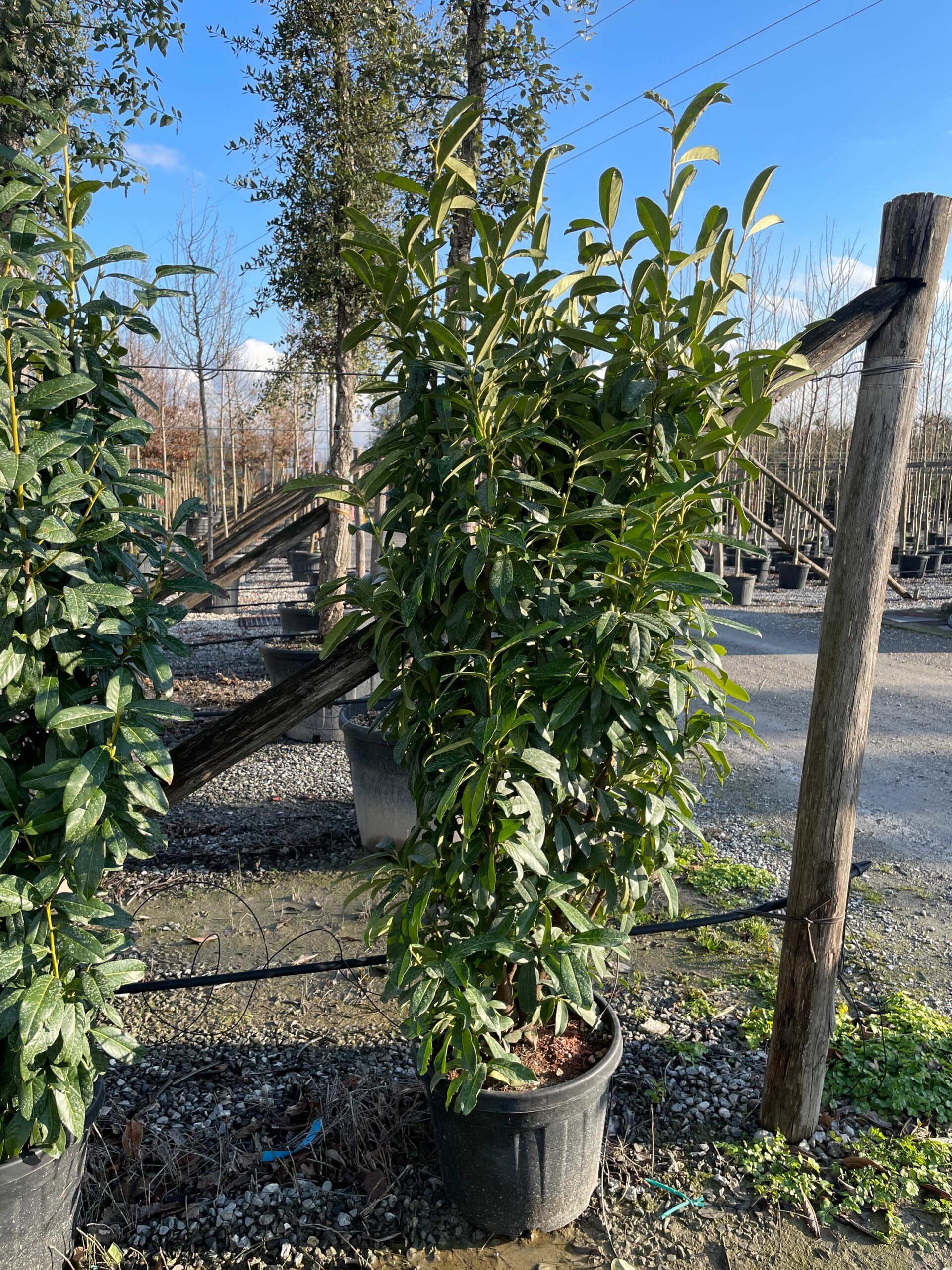 1642687384 scaled 9e09f4f3