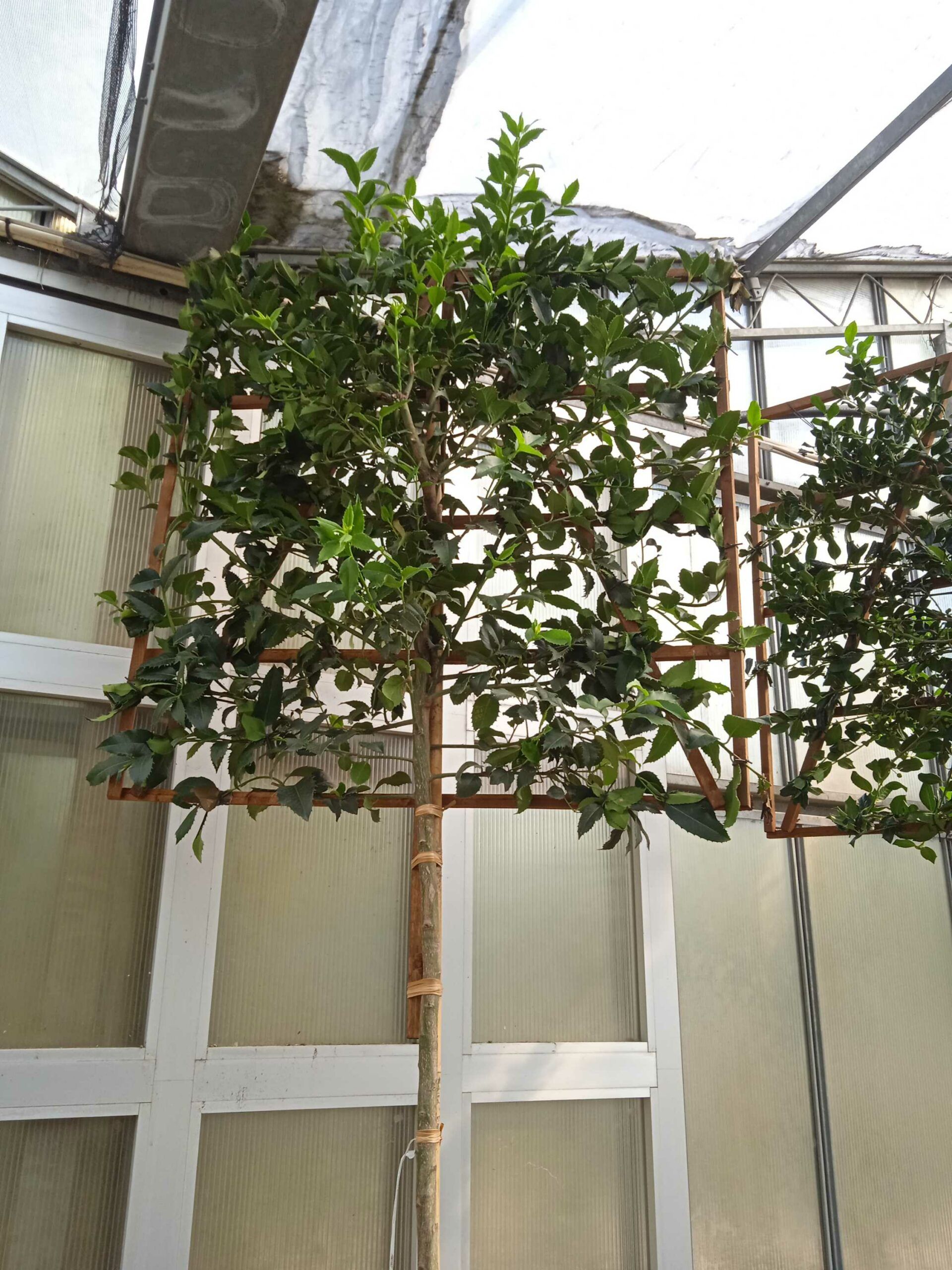 1662366078 scaled 9effbddc