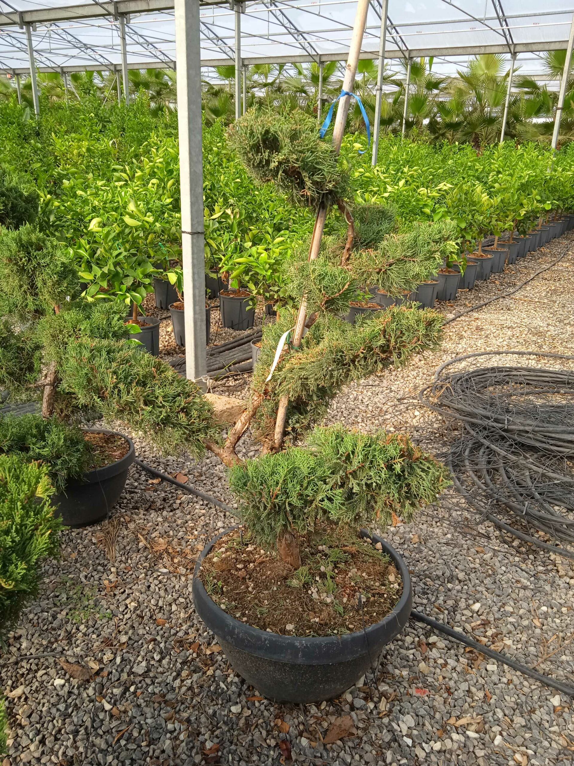 1662448338 scaled 9e683c44