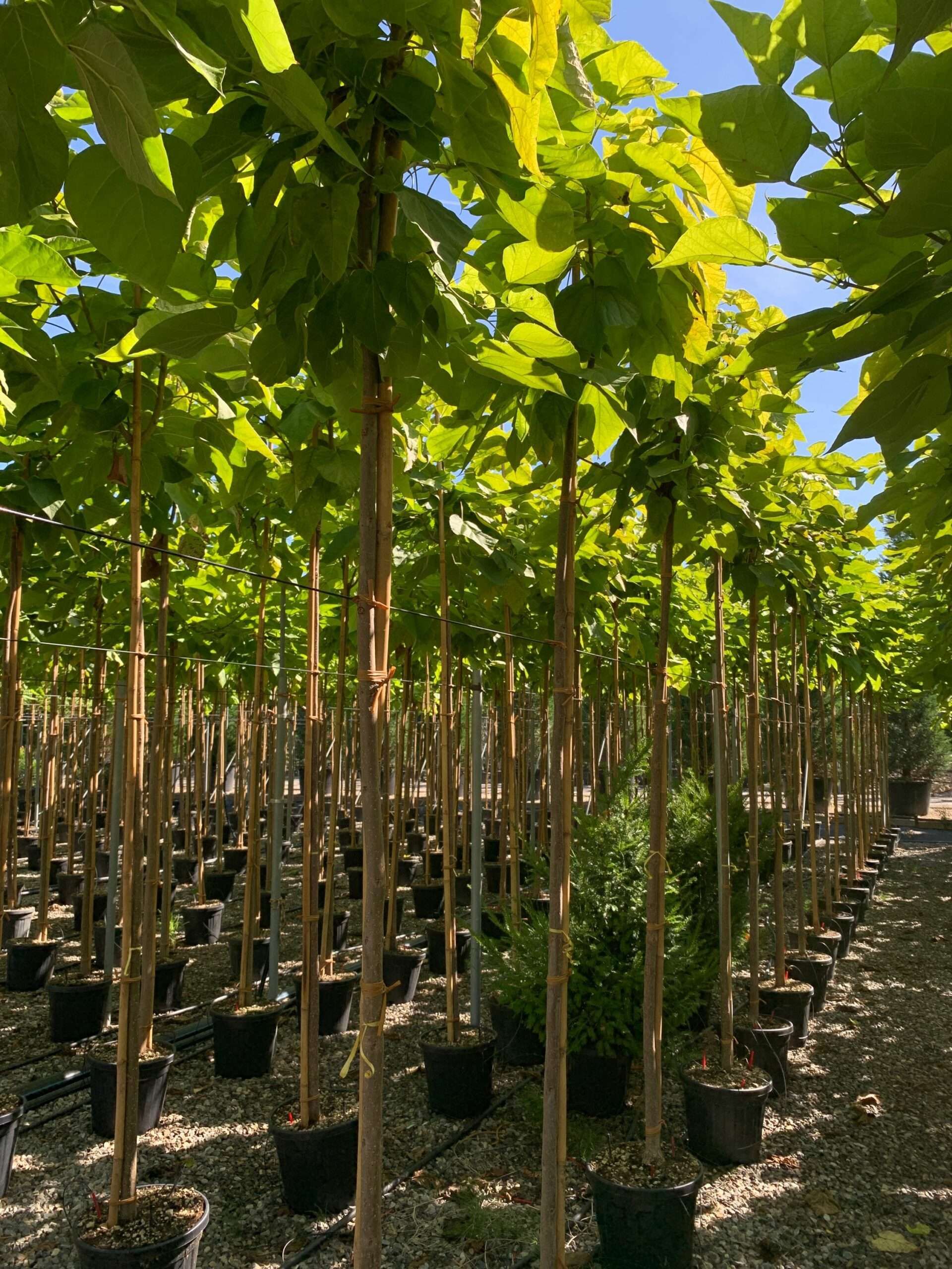 1662454693 scaled 9eb50524