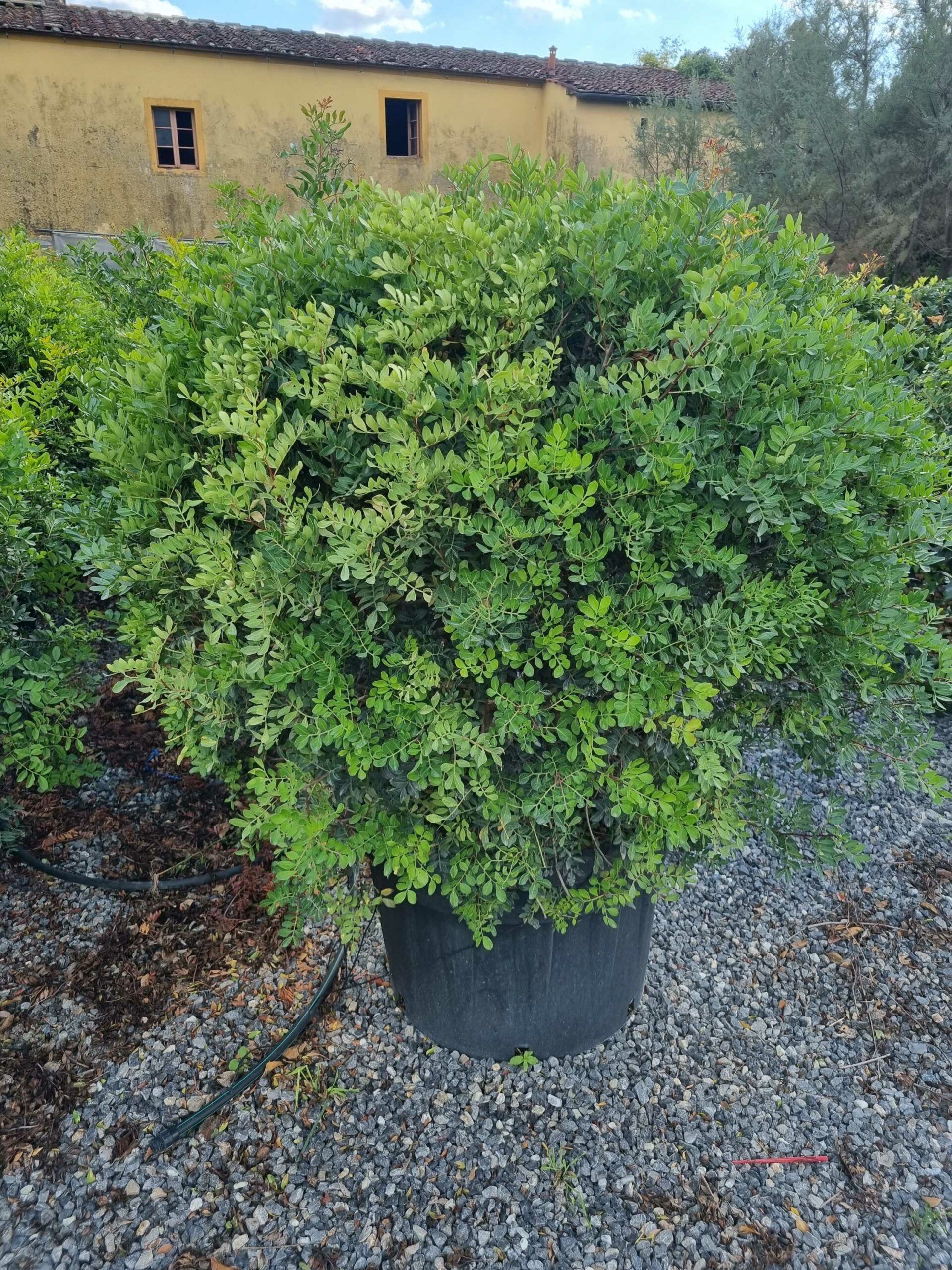 1663595012 scaled 9e07992e