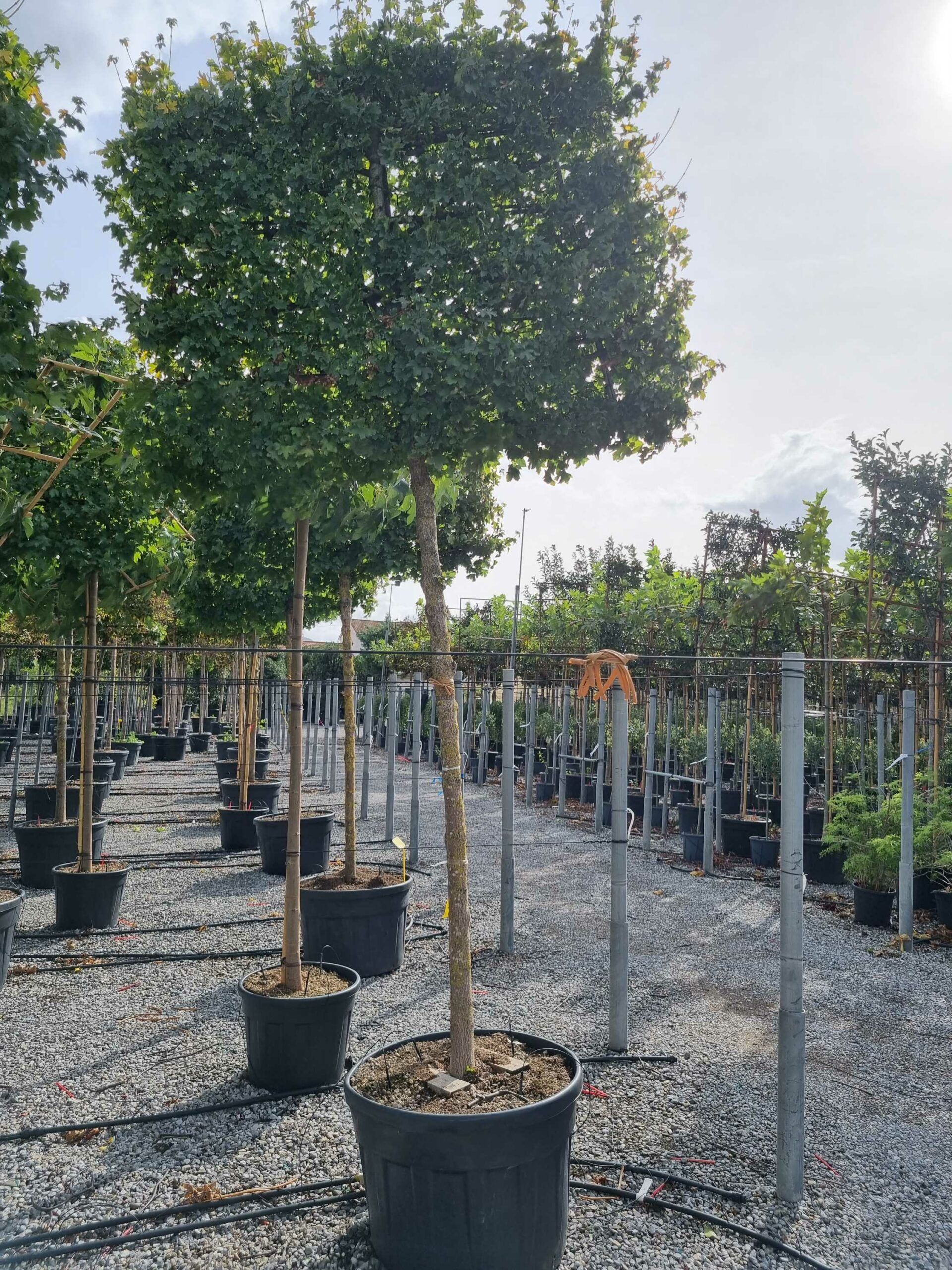 1664458329 scaled 9e5eb771