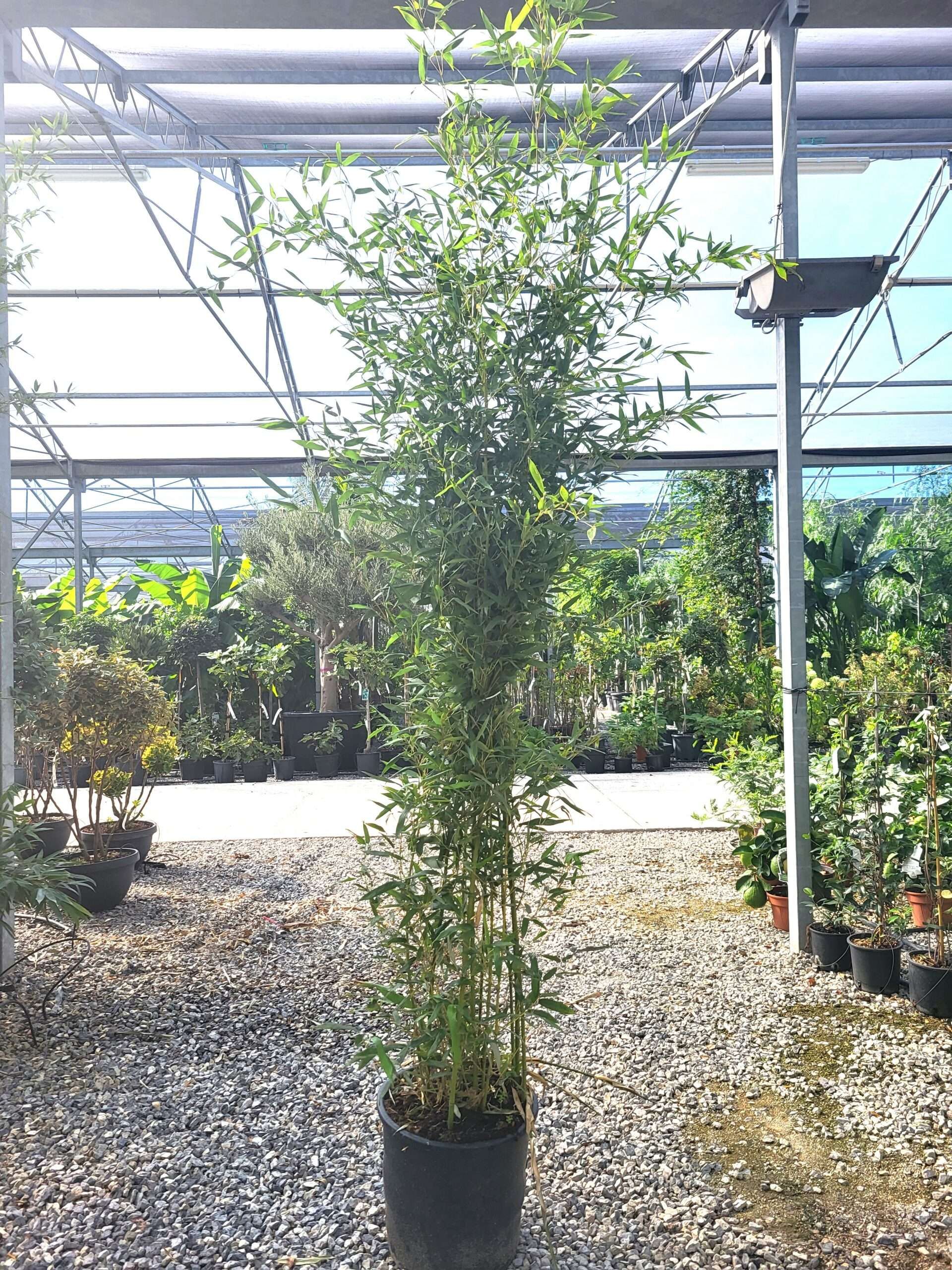 1696326887 scaled 9e75f87c