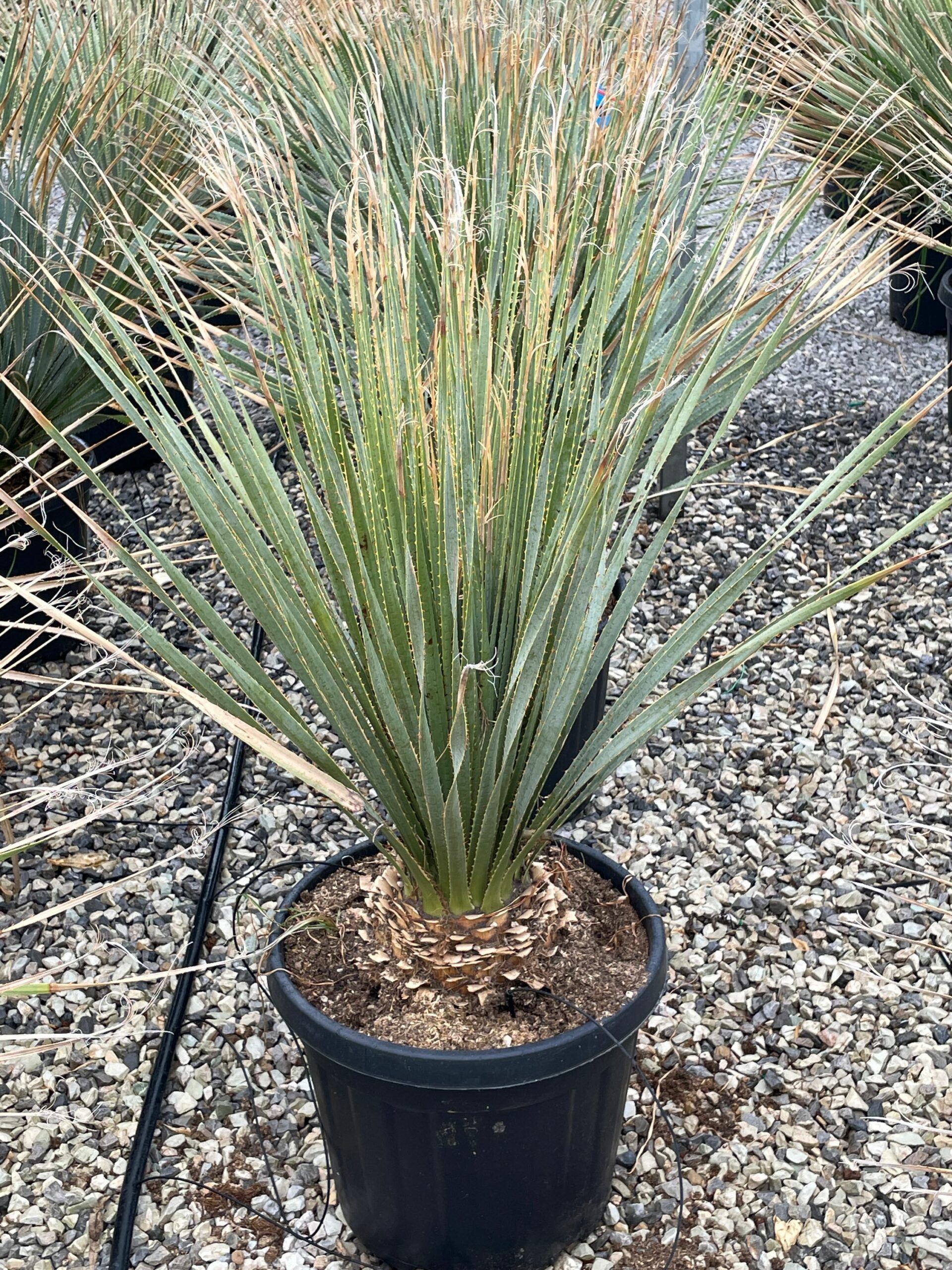 1631885970 scaled 9f7aea1b