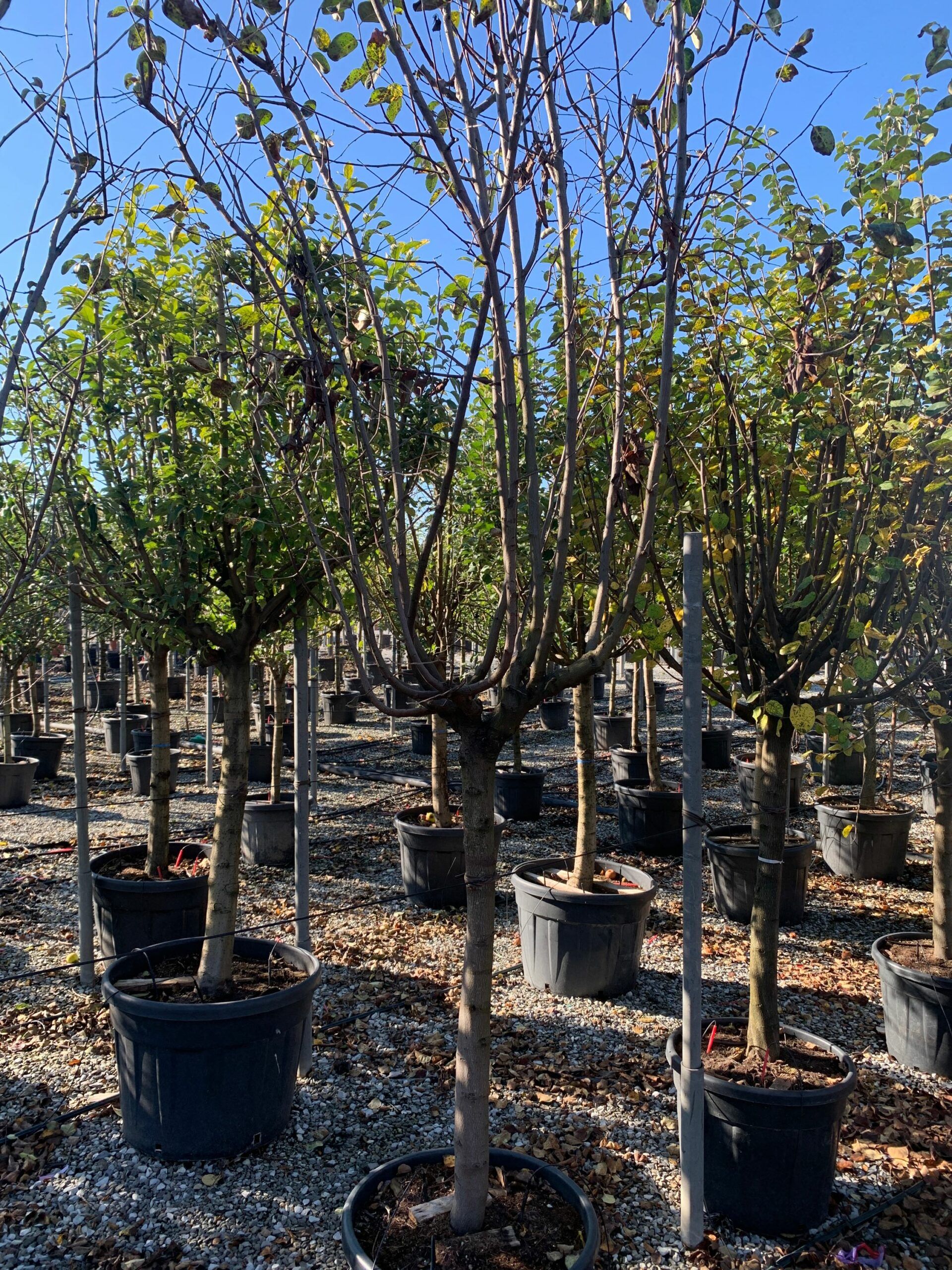 1637747912 scaled 9f556542