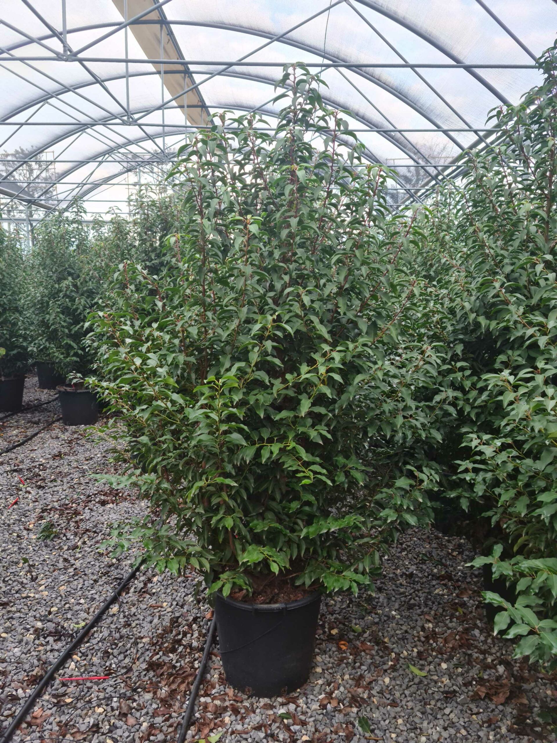 1640247733 scaled 9fbffd64