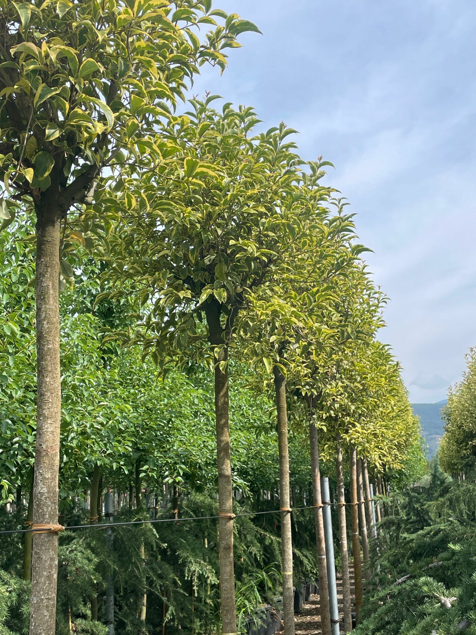 1690791972 scaled 9f9d612d