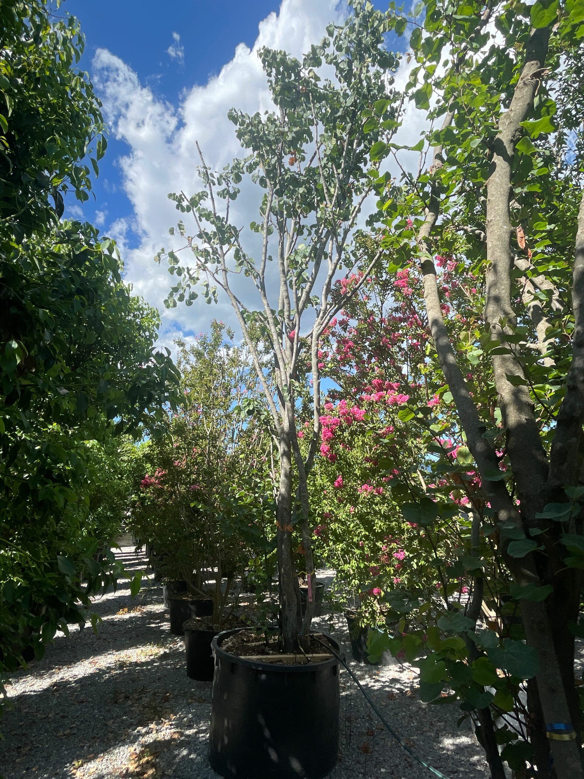 1691417168 scaled 9f3e8202