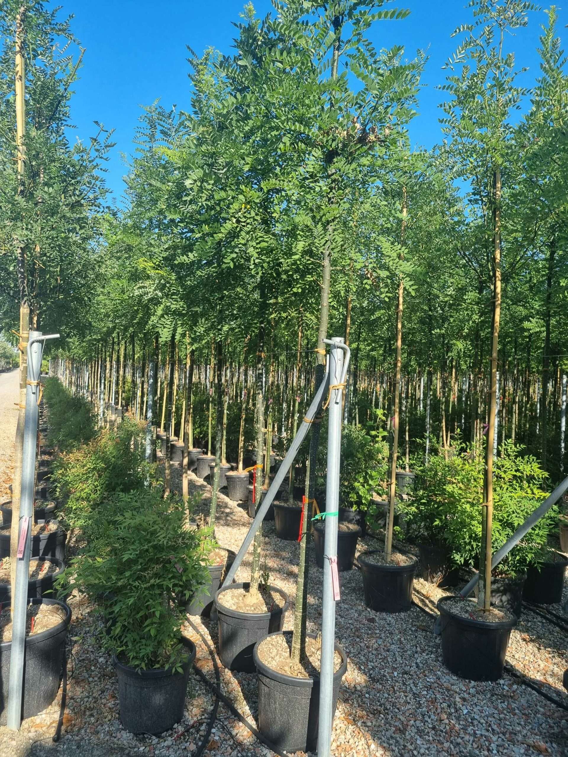 1692689145 scaled 9f0b0322