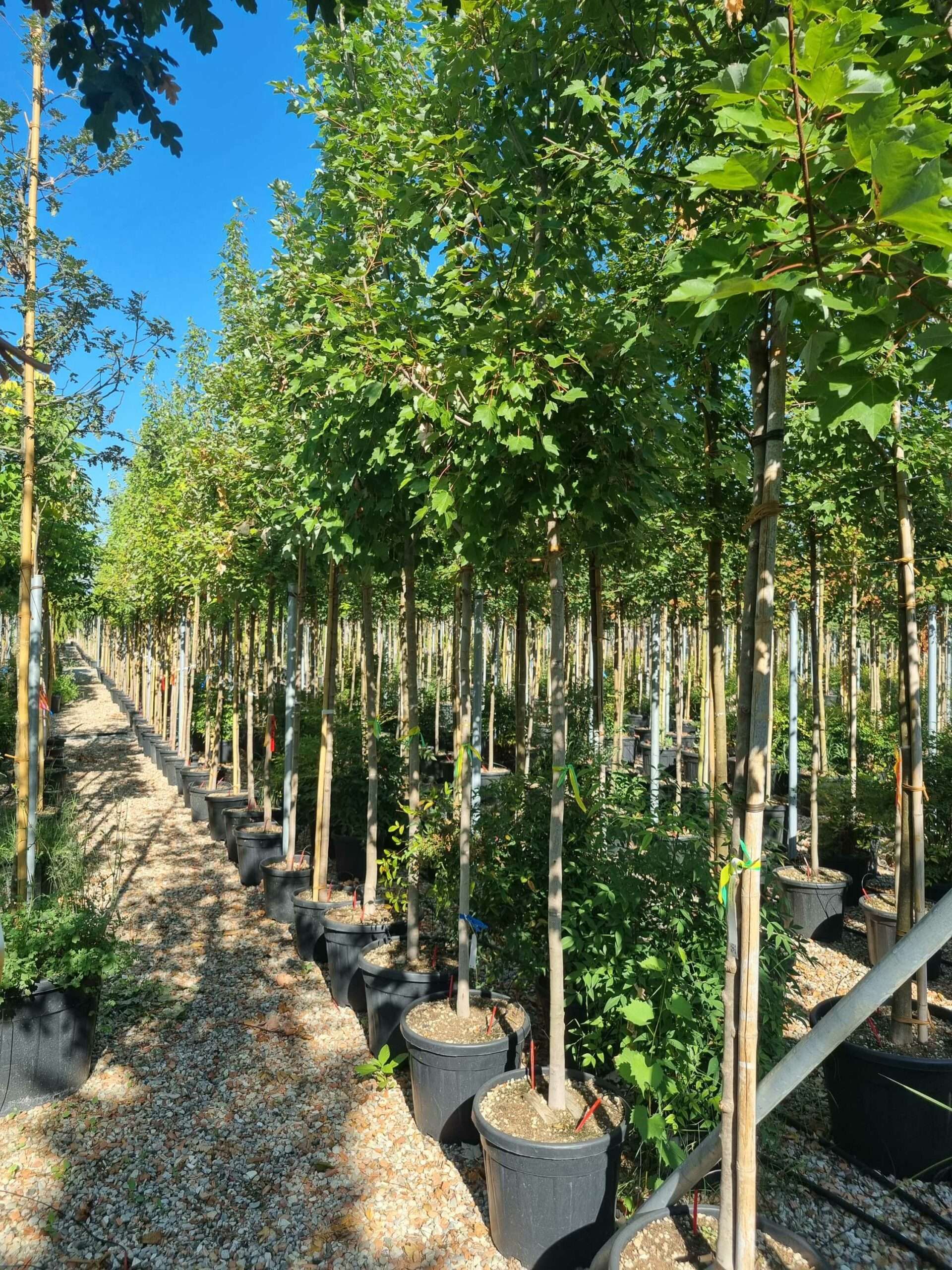 1692690037 scaled 9fa032f6