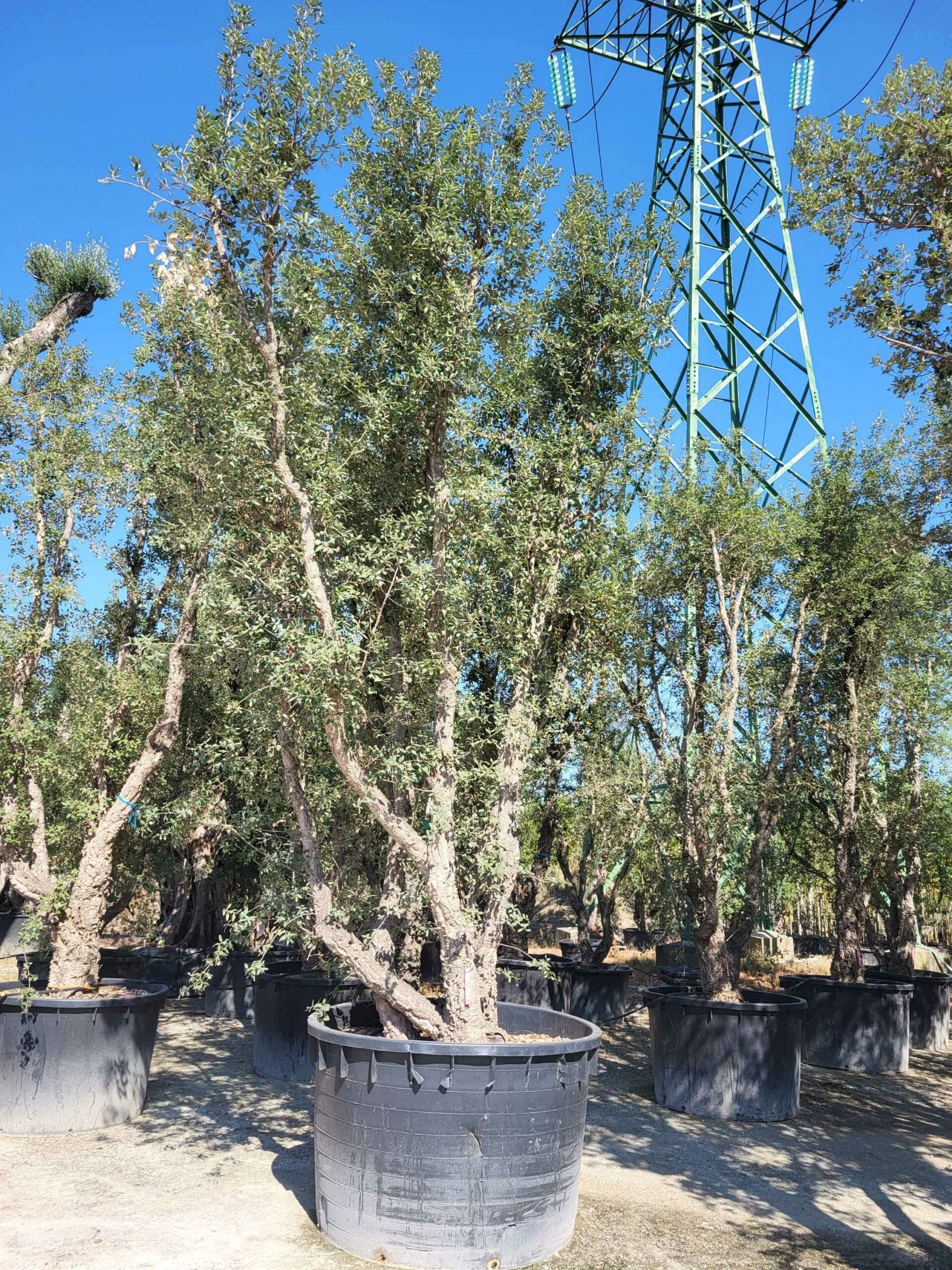 1692799083 scaled 9f95e816