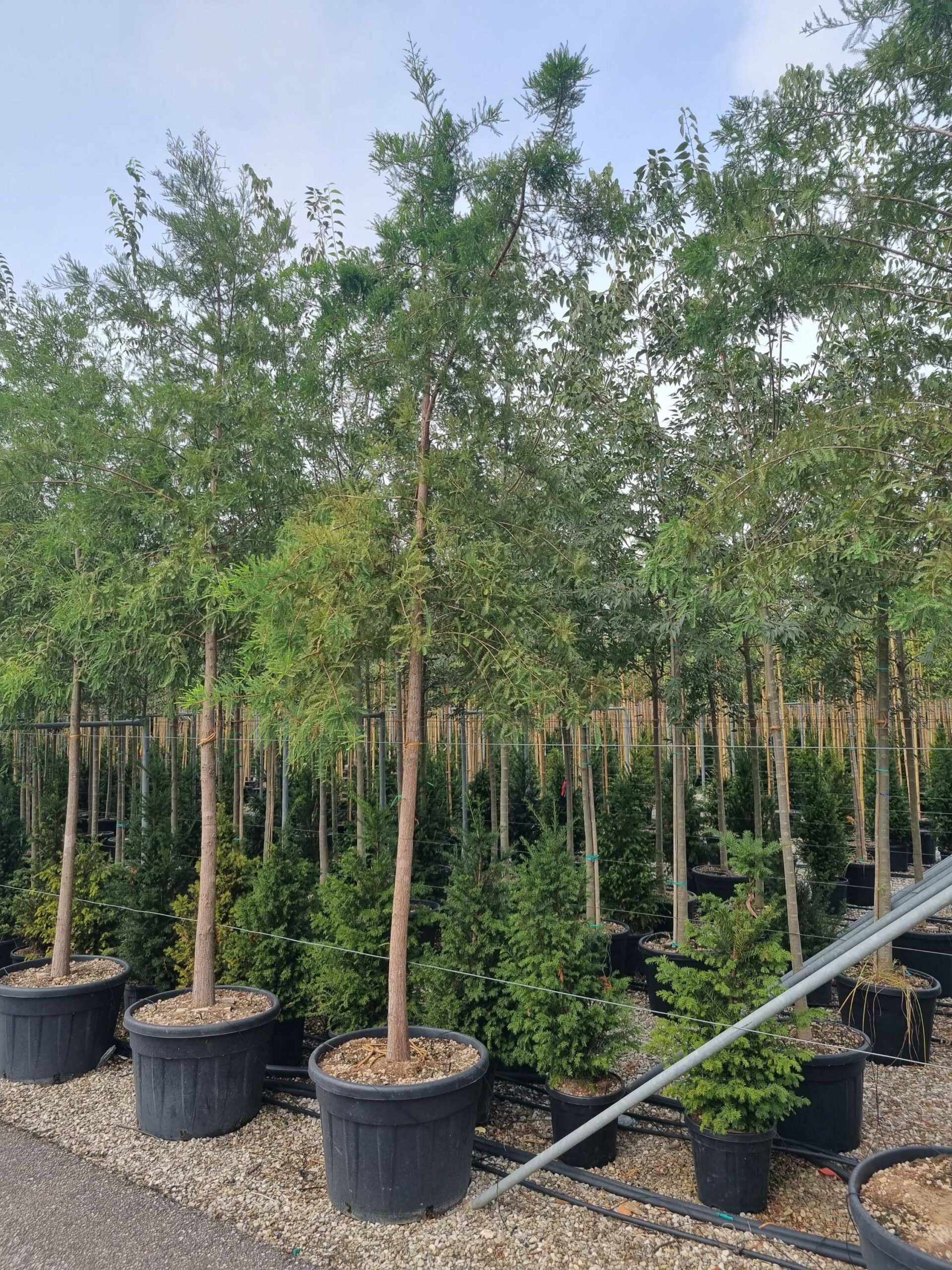 1695041153 scaled 9f00ff94